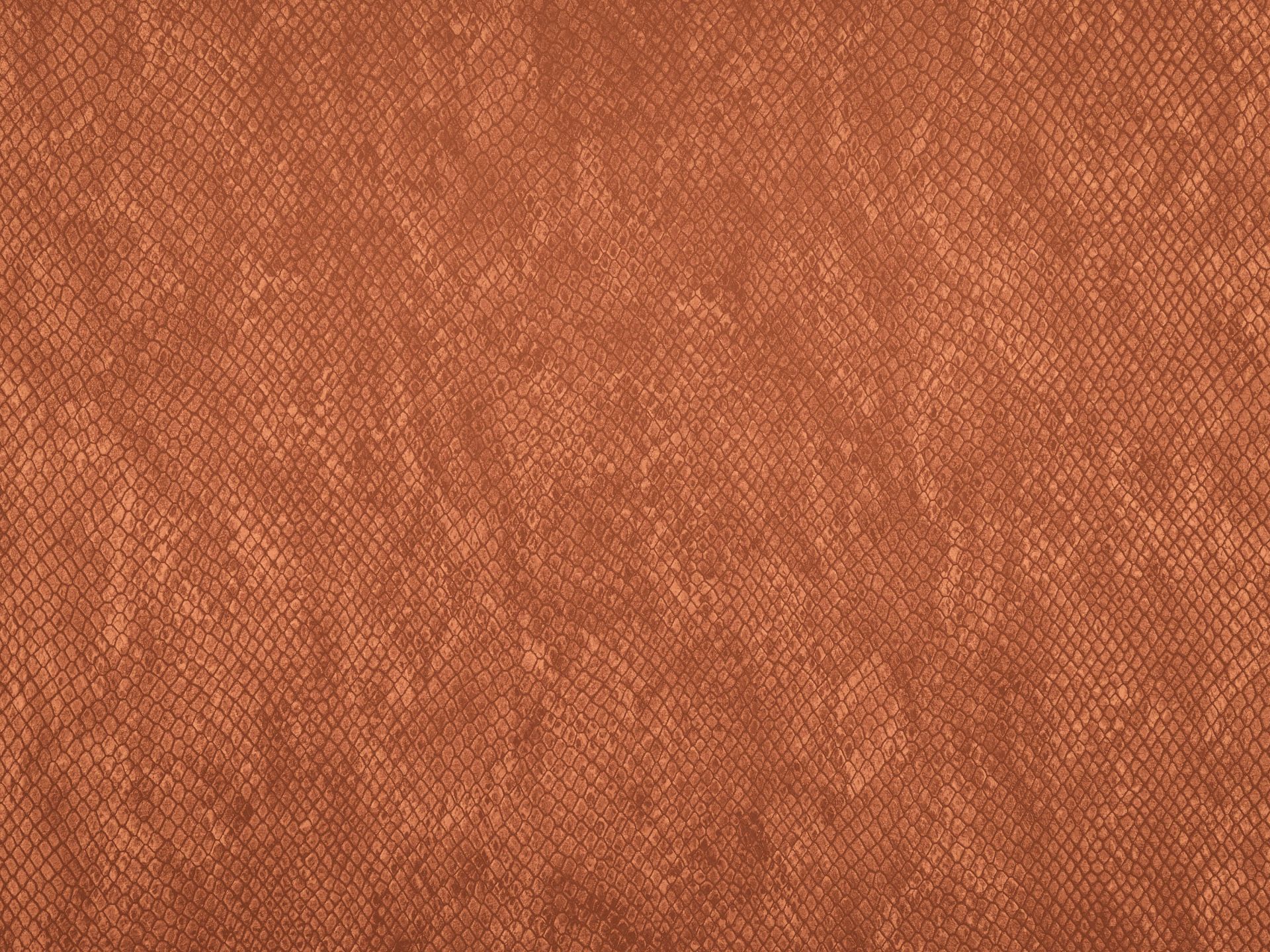 Struttura a serpente in terracotta