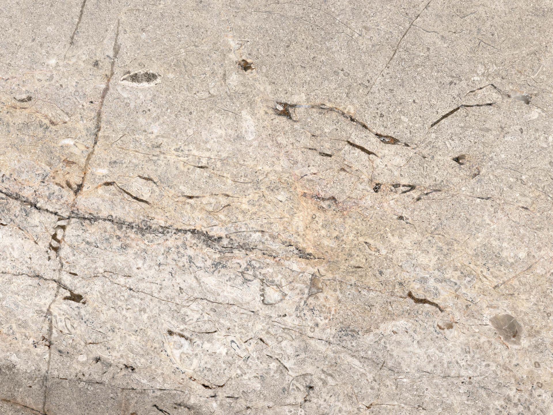 Tonalità beige marmo