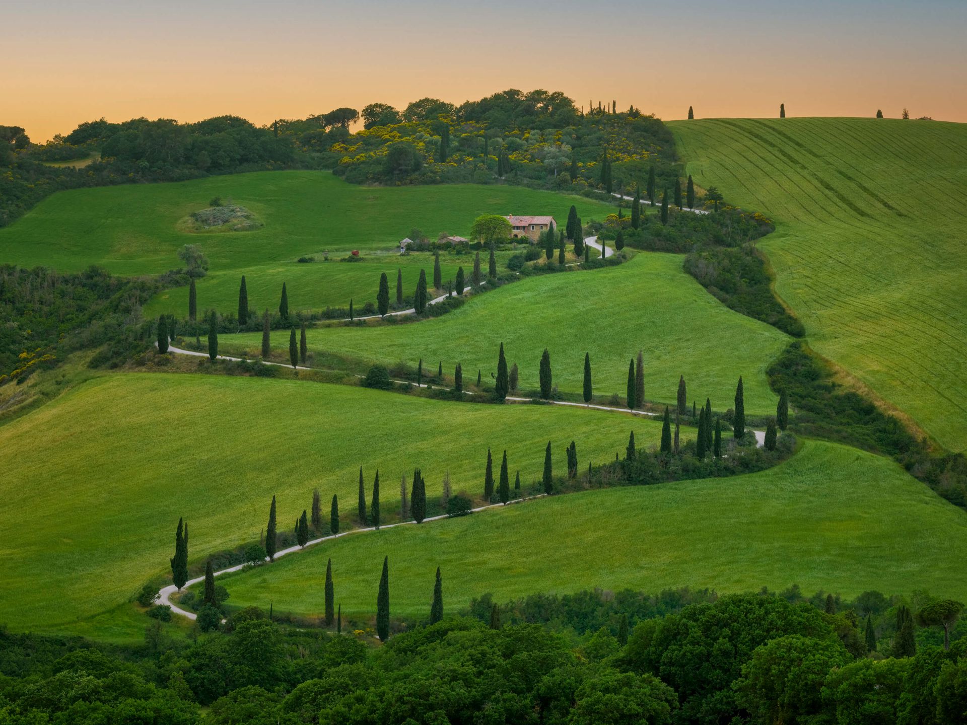Strada tortuosa con cipressi