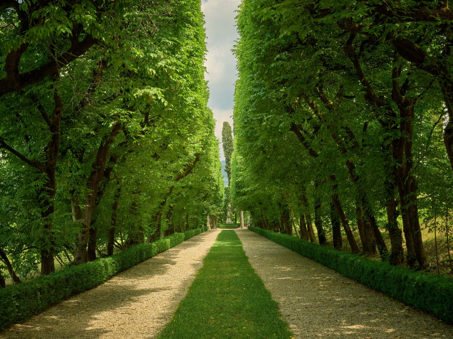 Vicolo verde con ghiaia