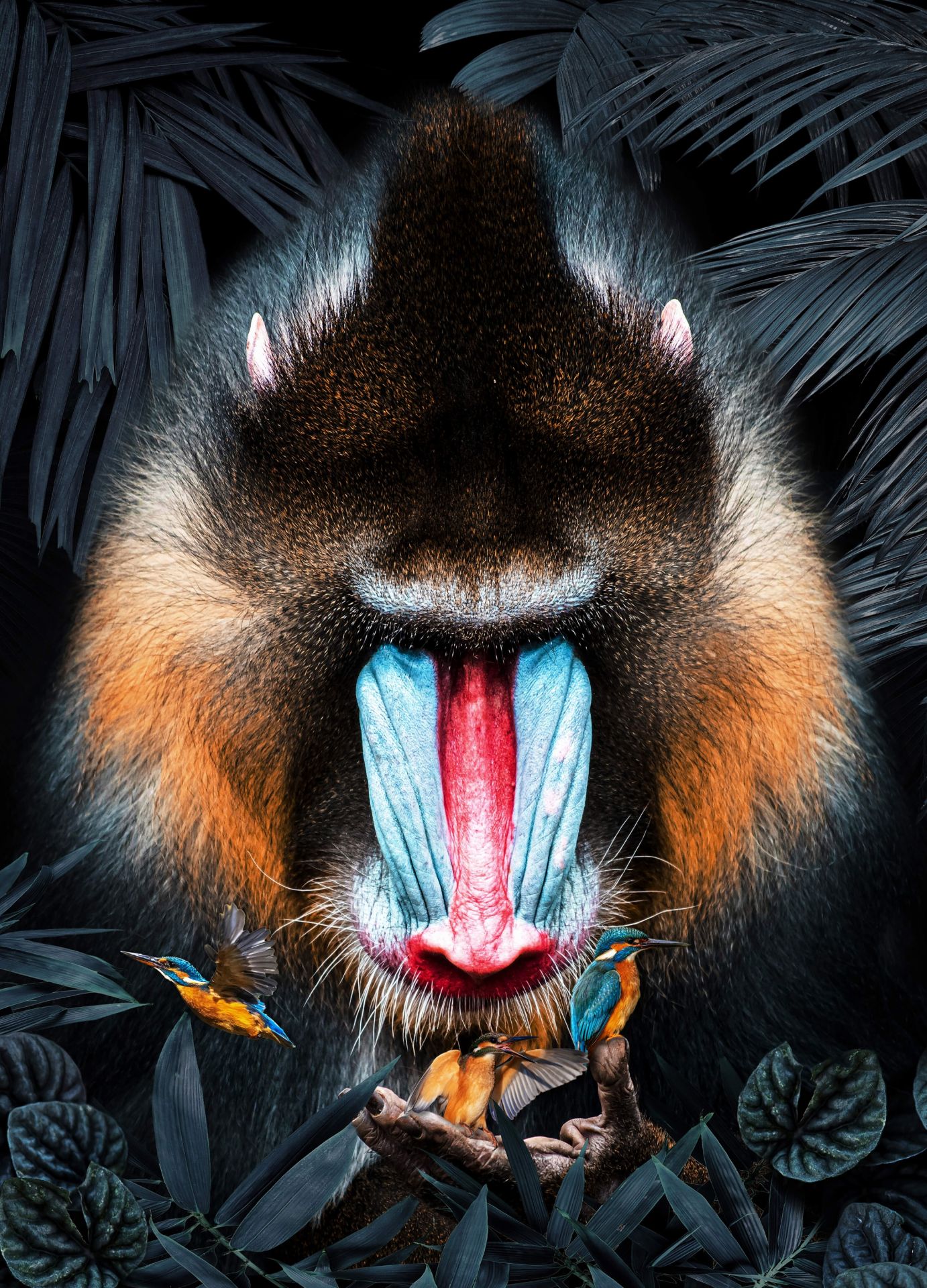 Mandrill Ritratto