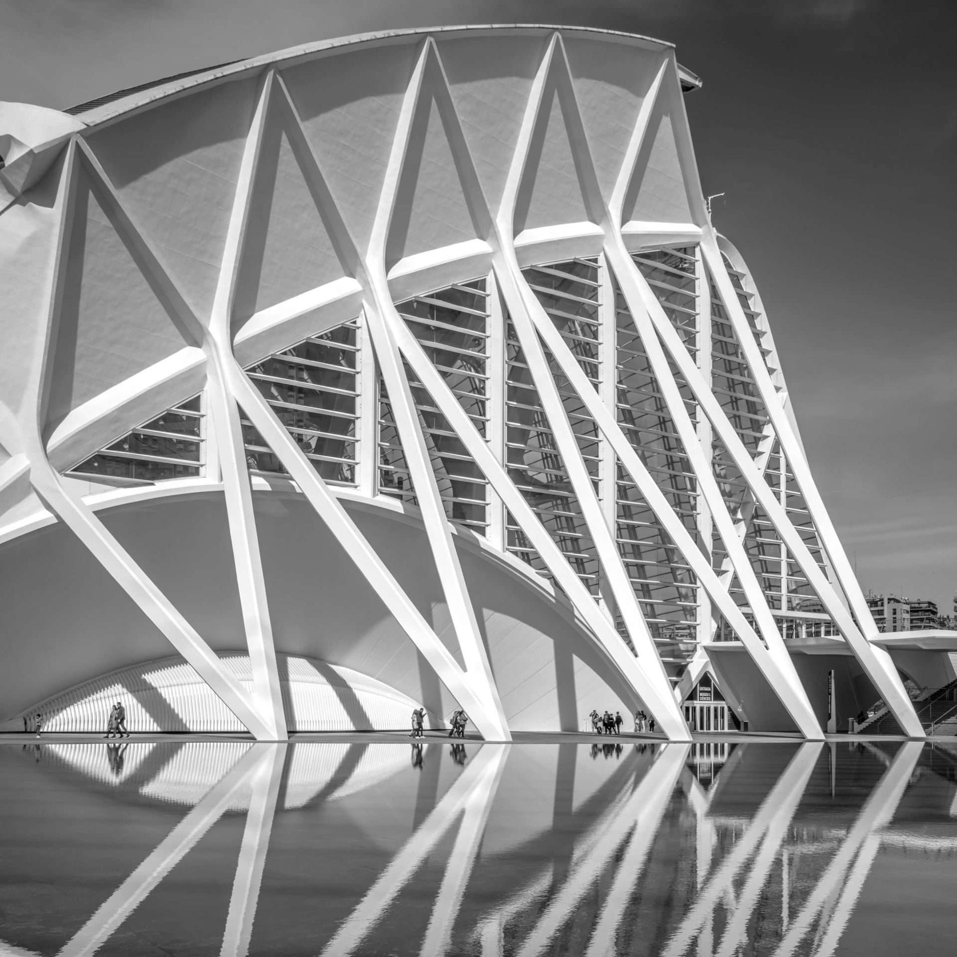 Museo delle scienze - Museo de las Ciencas Principe Felipe - Valencia