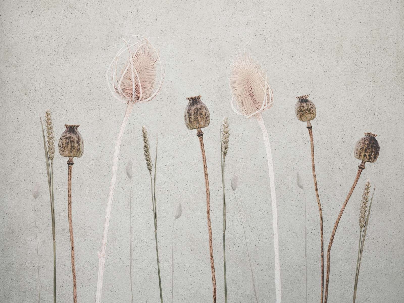 Pace di campo Texture