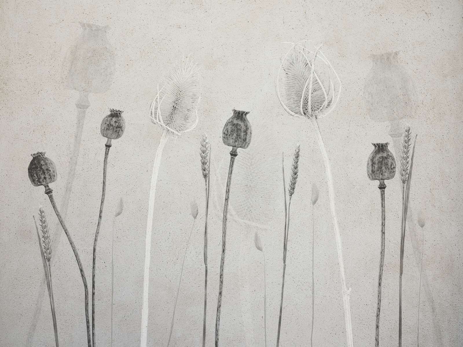 Fantasmi della natura che sussurrano