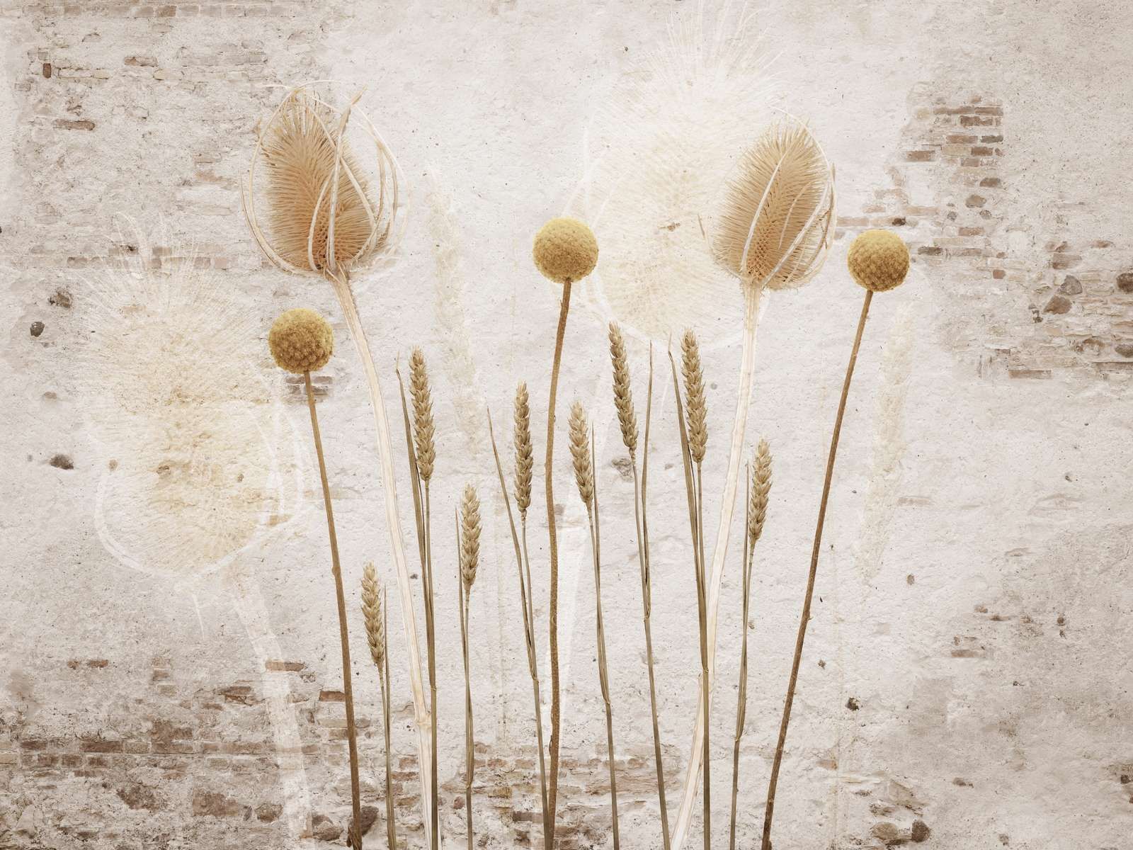 Raccolto d'oro passato