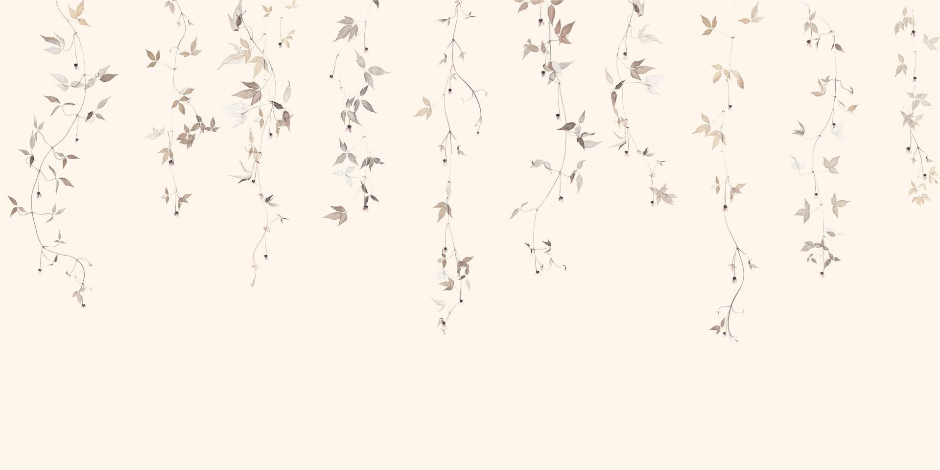 Vite di clematide leggera con fiori