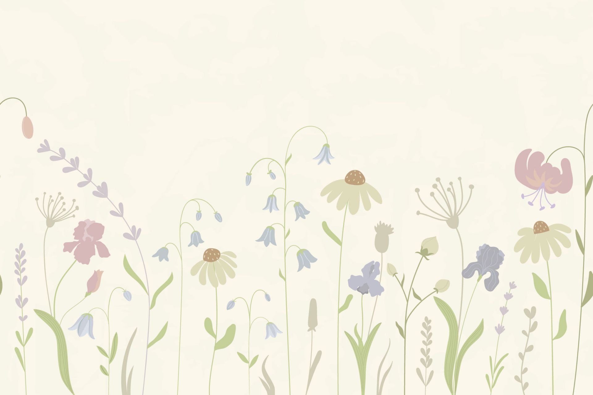 Campo di fiori alto beige, rosa antico, verde e lilla
