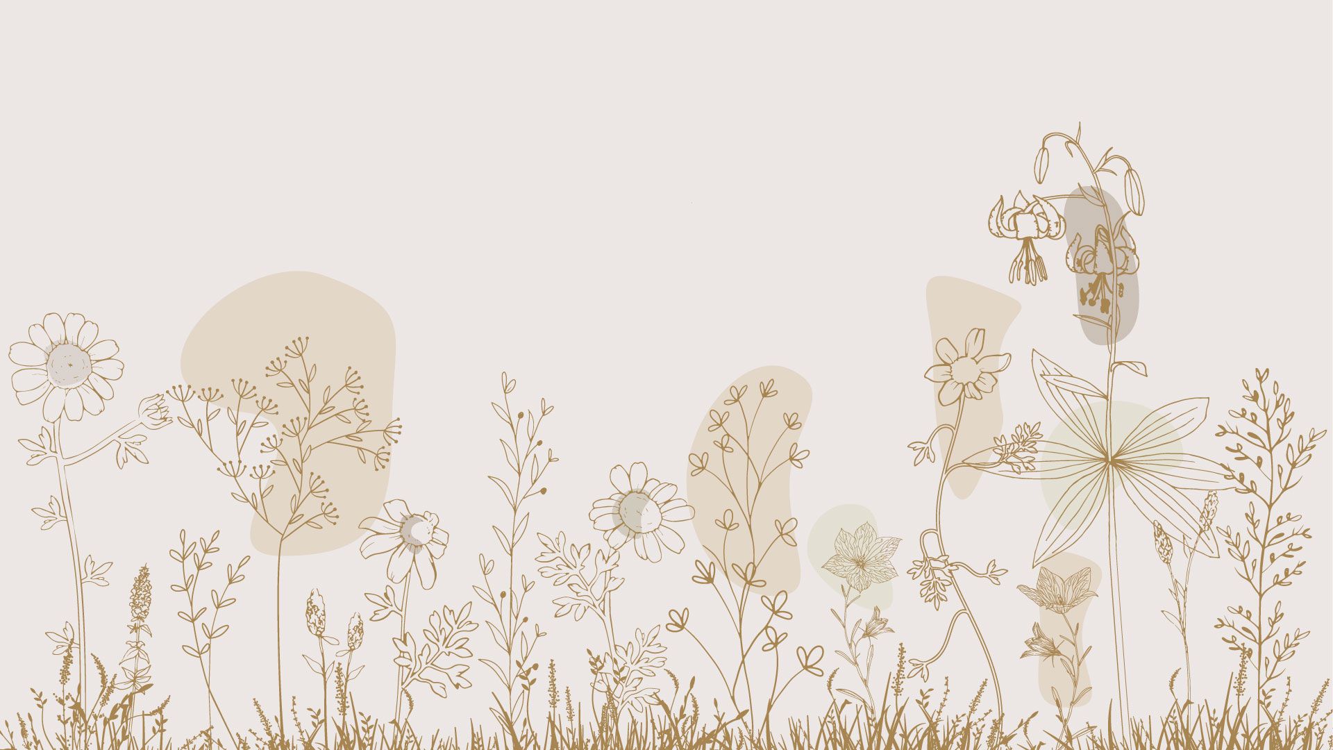 Campo di fiori alto beige e colori della natura