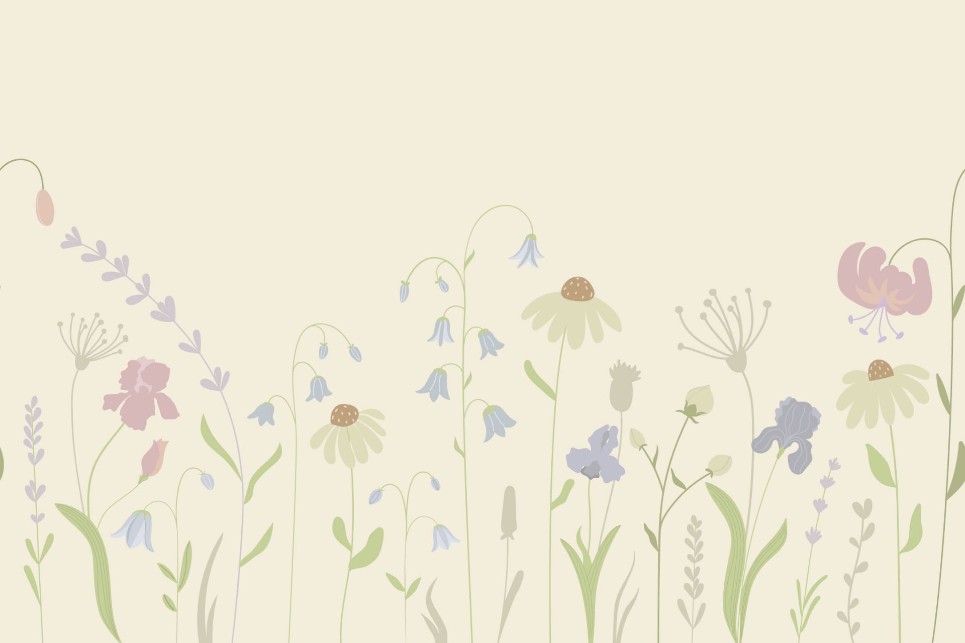 Campo di fiori alto sabbia, rosa antico, verde e lilla