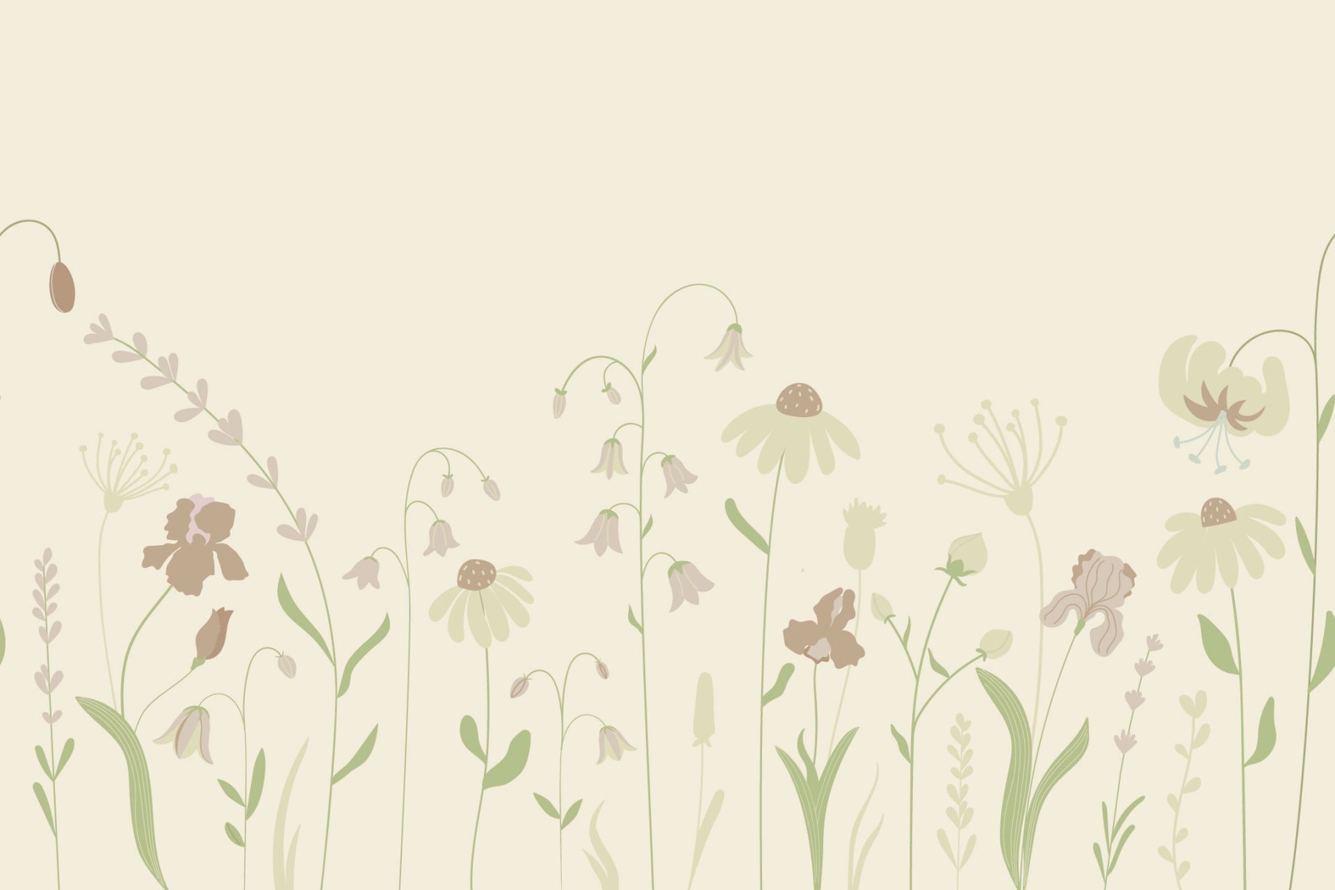 Campo fiorito alto sabbia con rosa antico