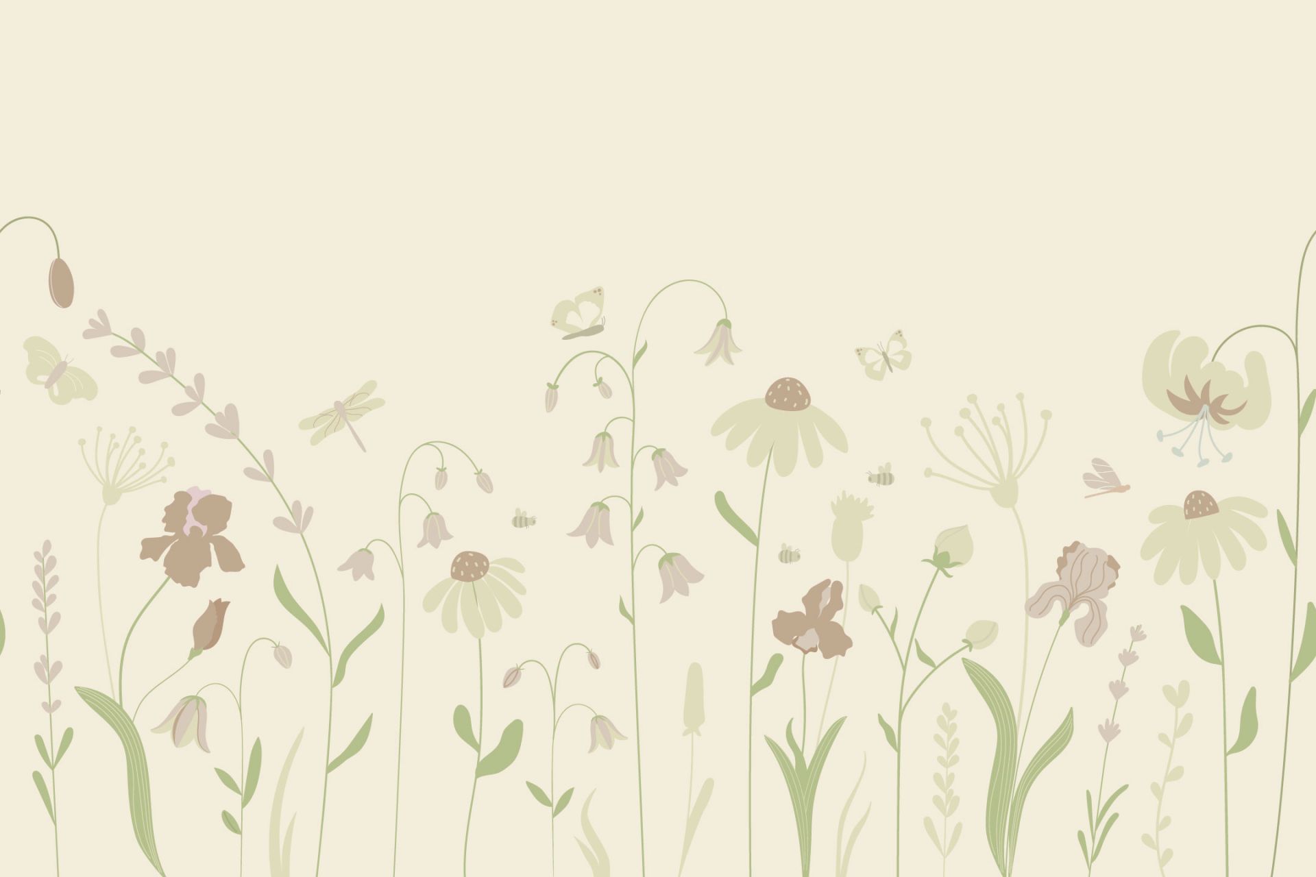 Campo di fiori alto con farfalle sabbia con rosa antico