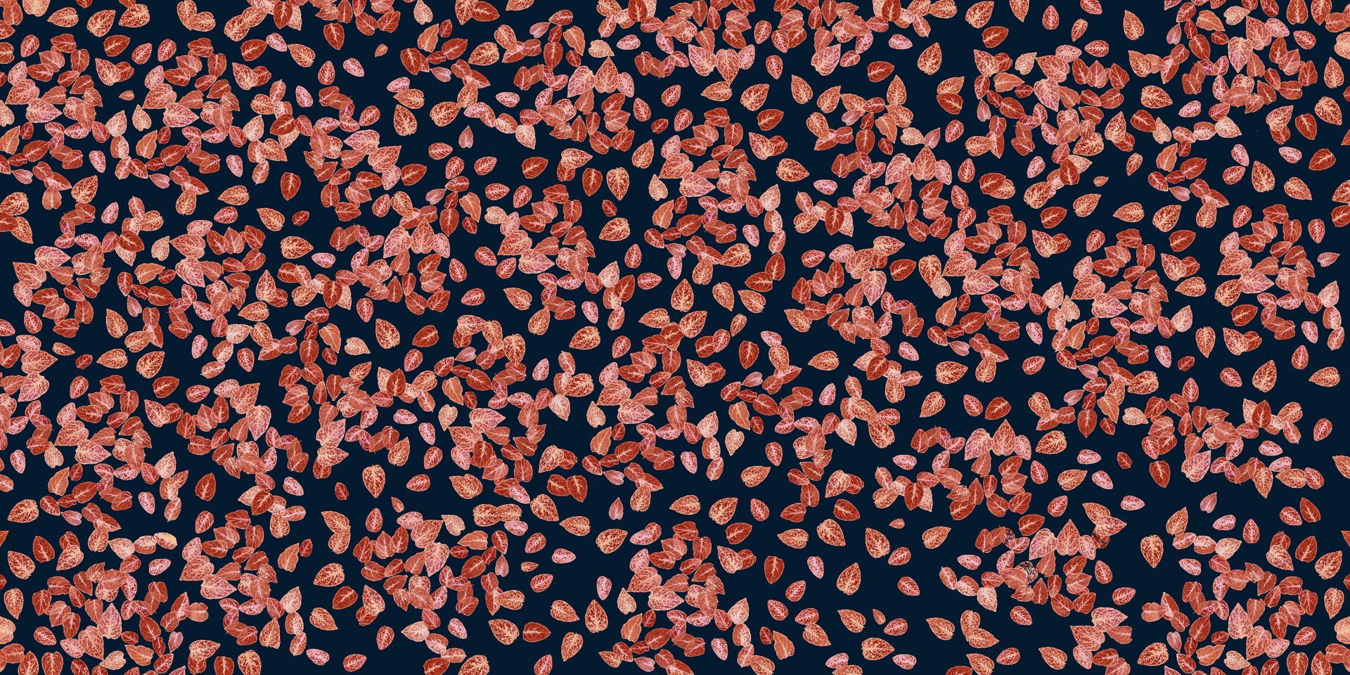 Foglie piccole ruggine su blu notte