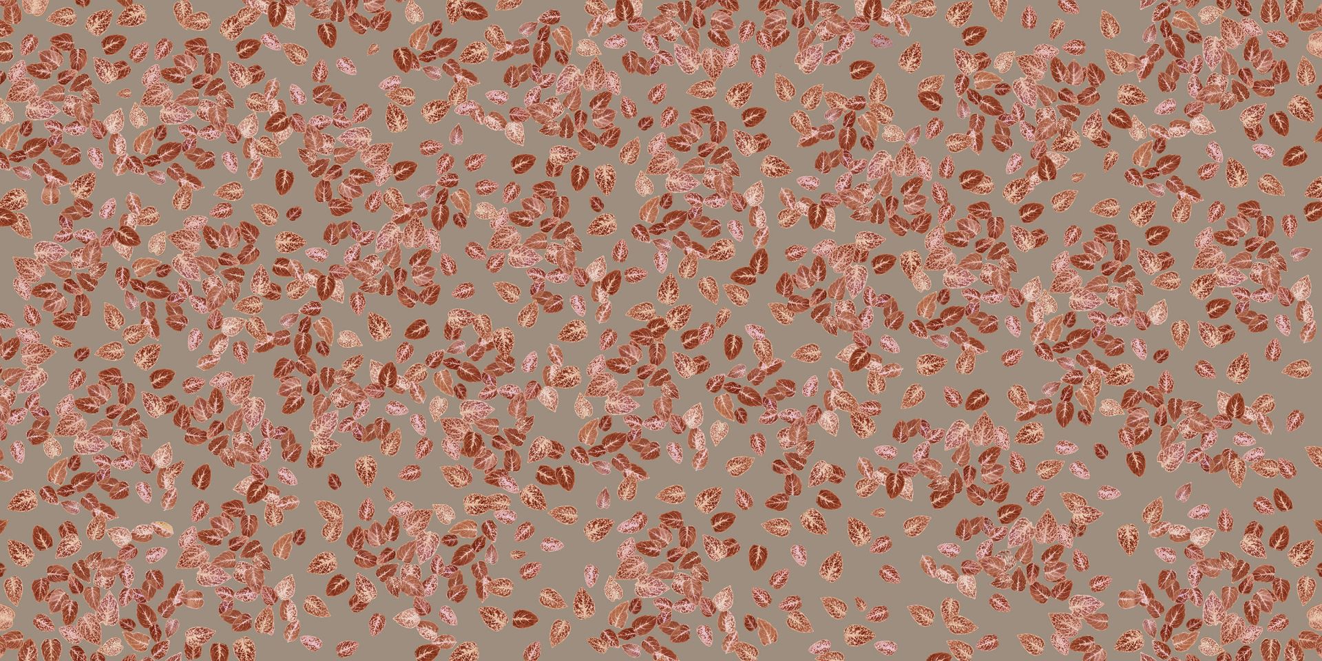 Foglie piccole su tortora