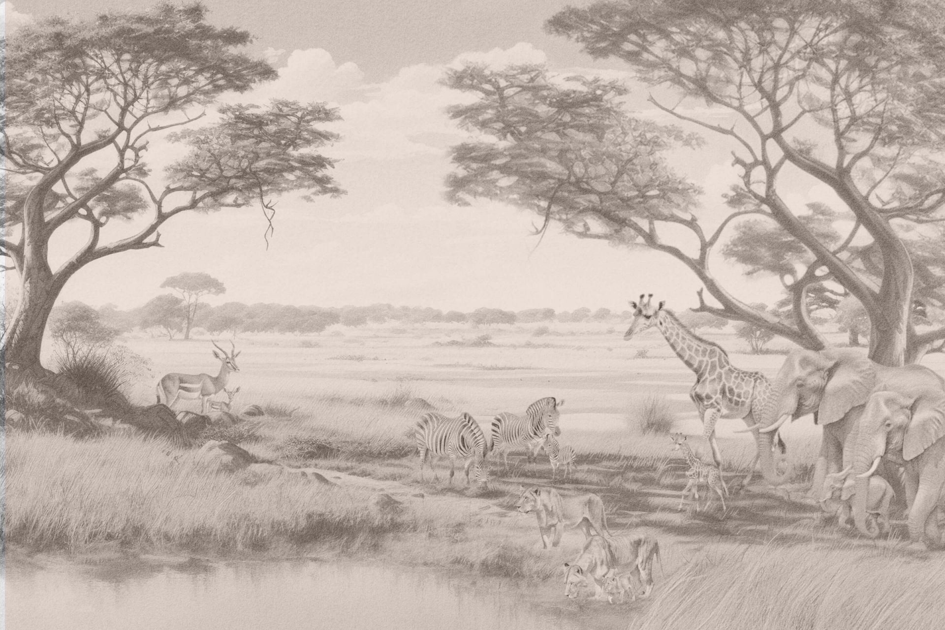 Savana luogo di riposo