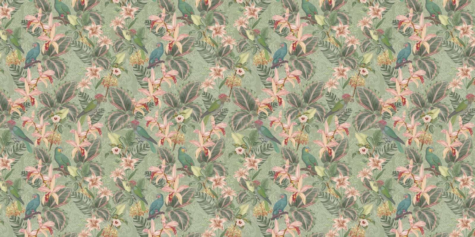 Uccelli e pappagalli della giungla tropicale - verde salvia