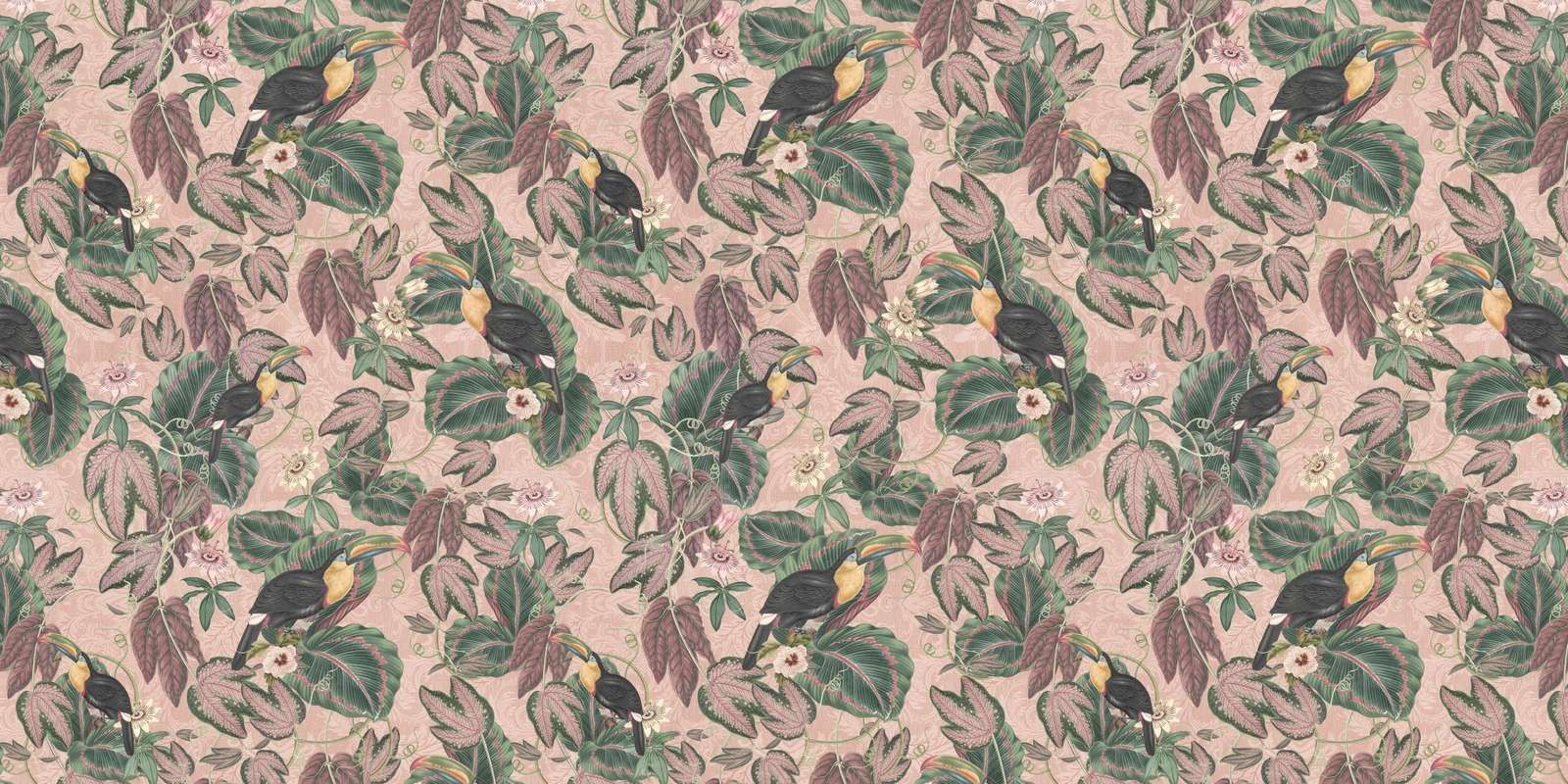 Uccelli e tucani della giungla tropicale - rosa