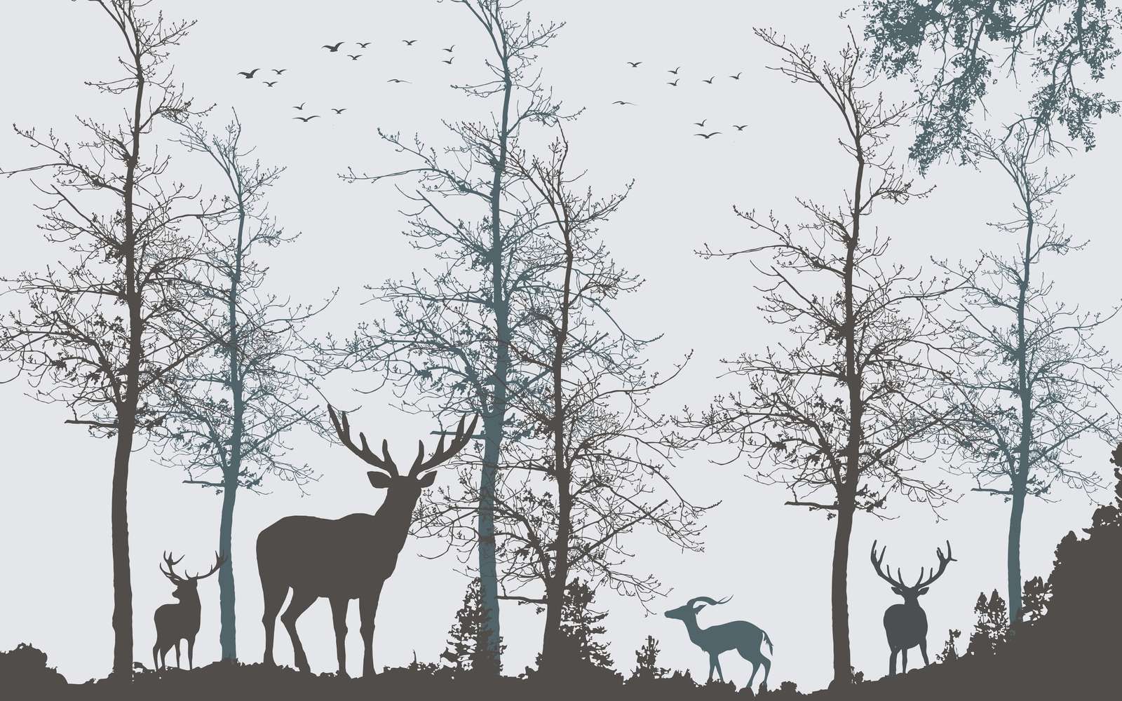 Contorno Invernale Silenzio della Foresta