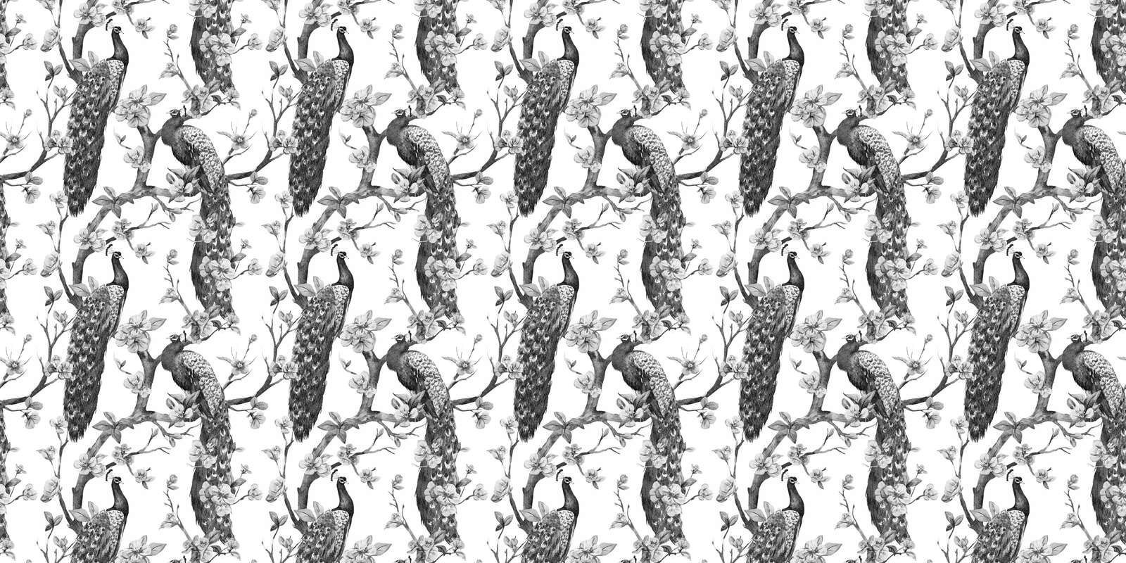 Splendore Monocromatico di Pavone