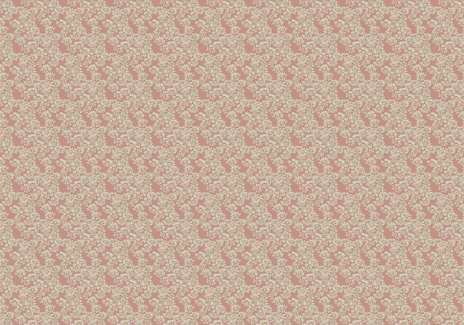 Dazzling Daisy Terra