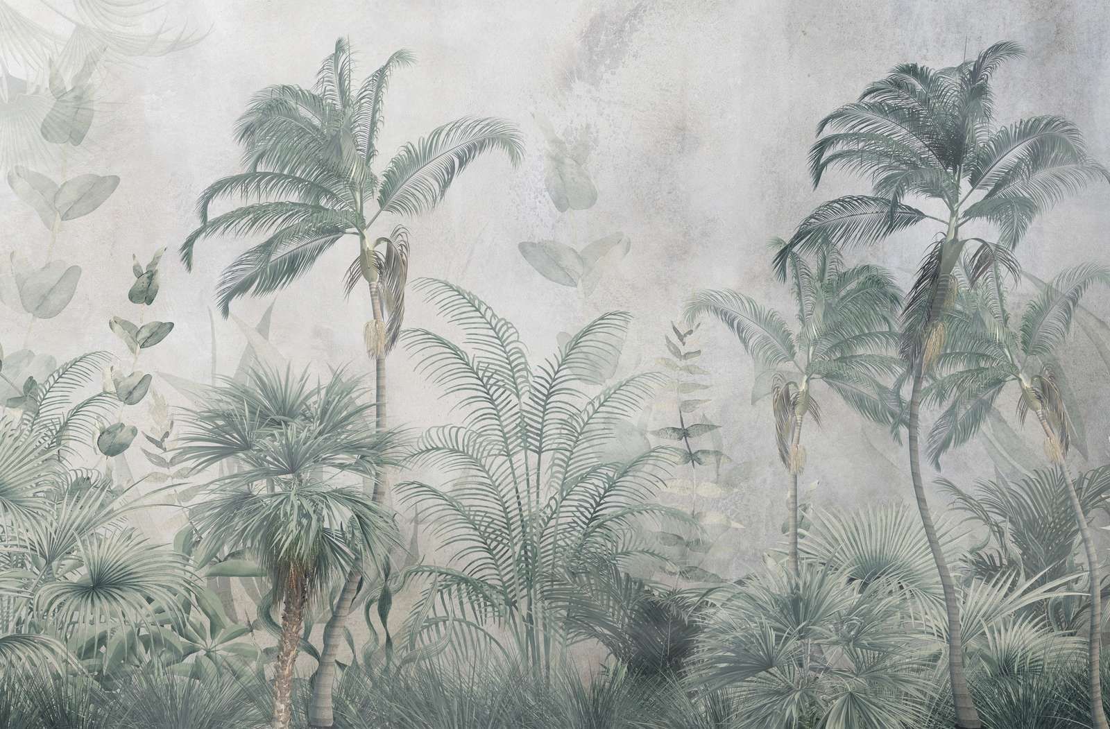 Paradiso Tropicale Nebbioso