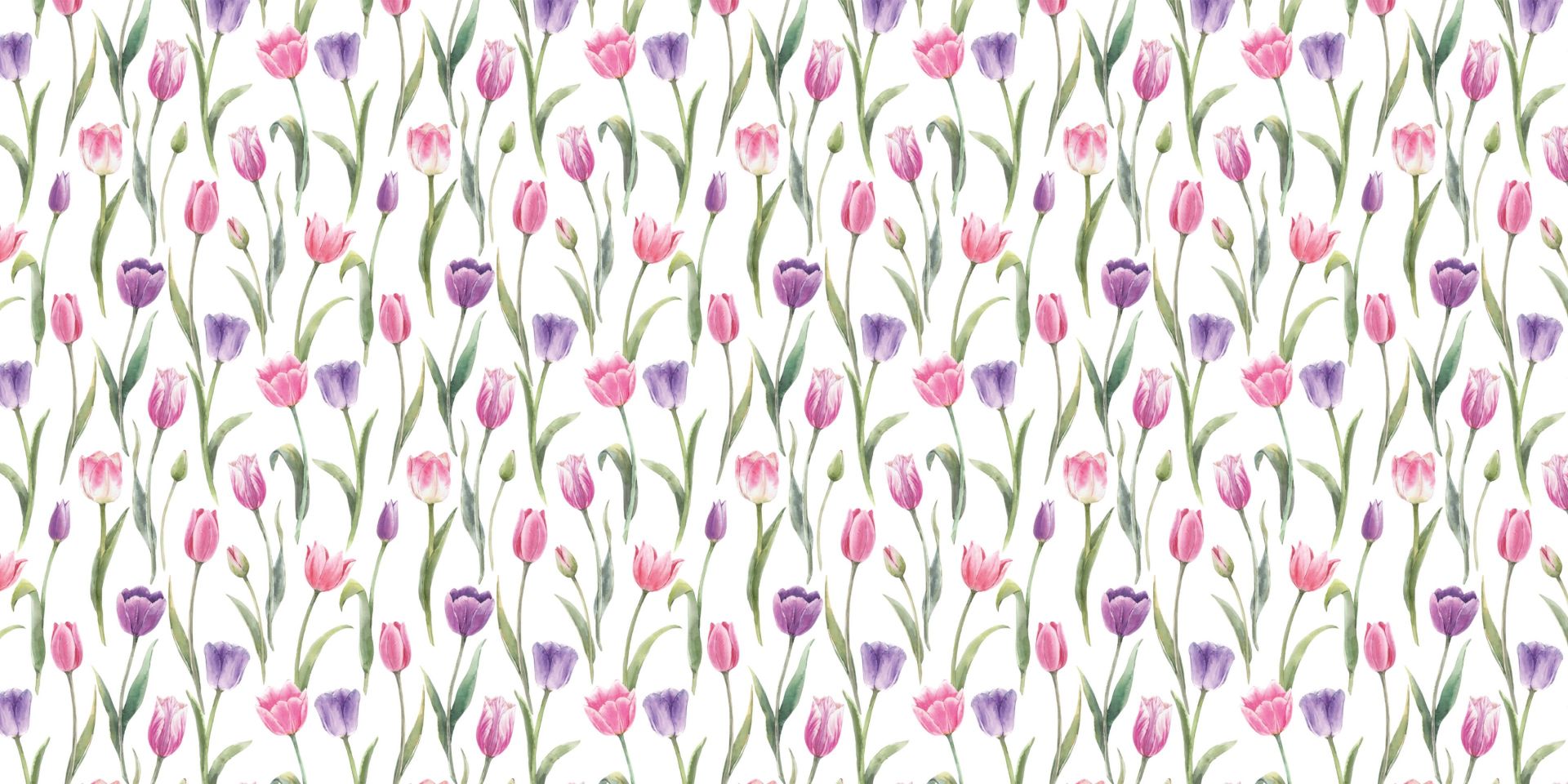 Giardino di Tulipani Primaverili