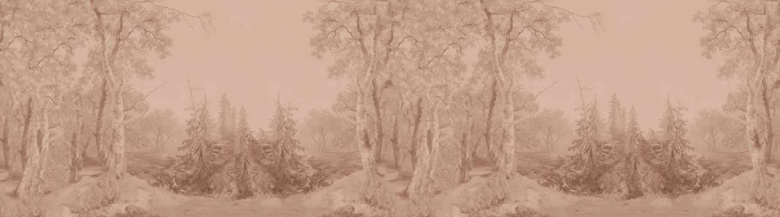 Paesaggio Forestale Terra Panorama