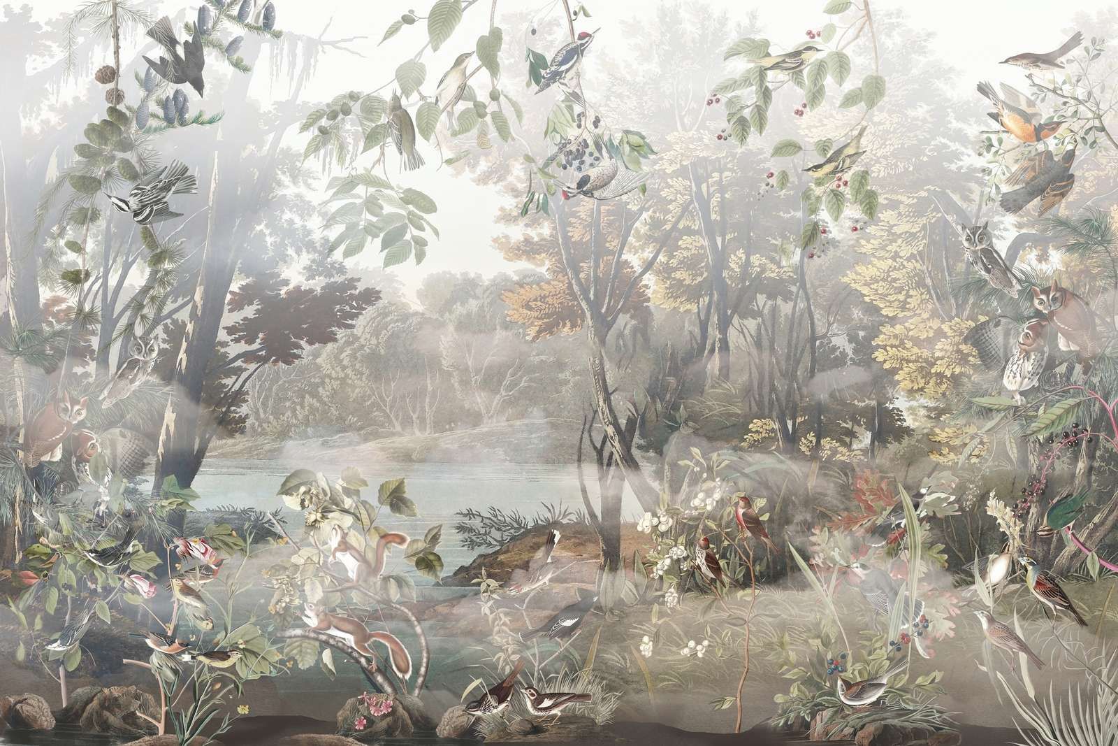 Foresta Mistica Uccelli