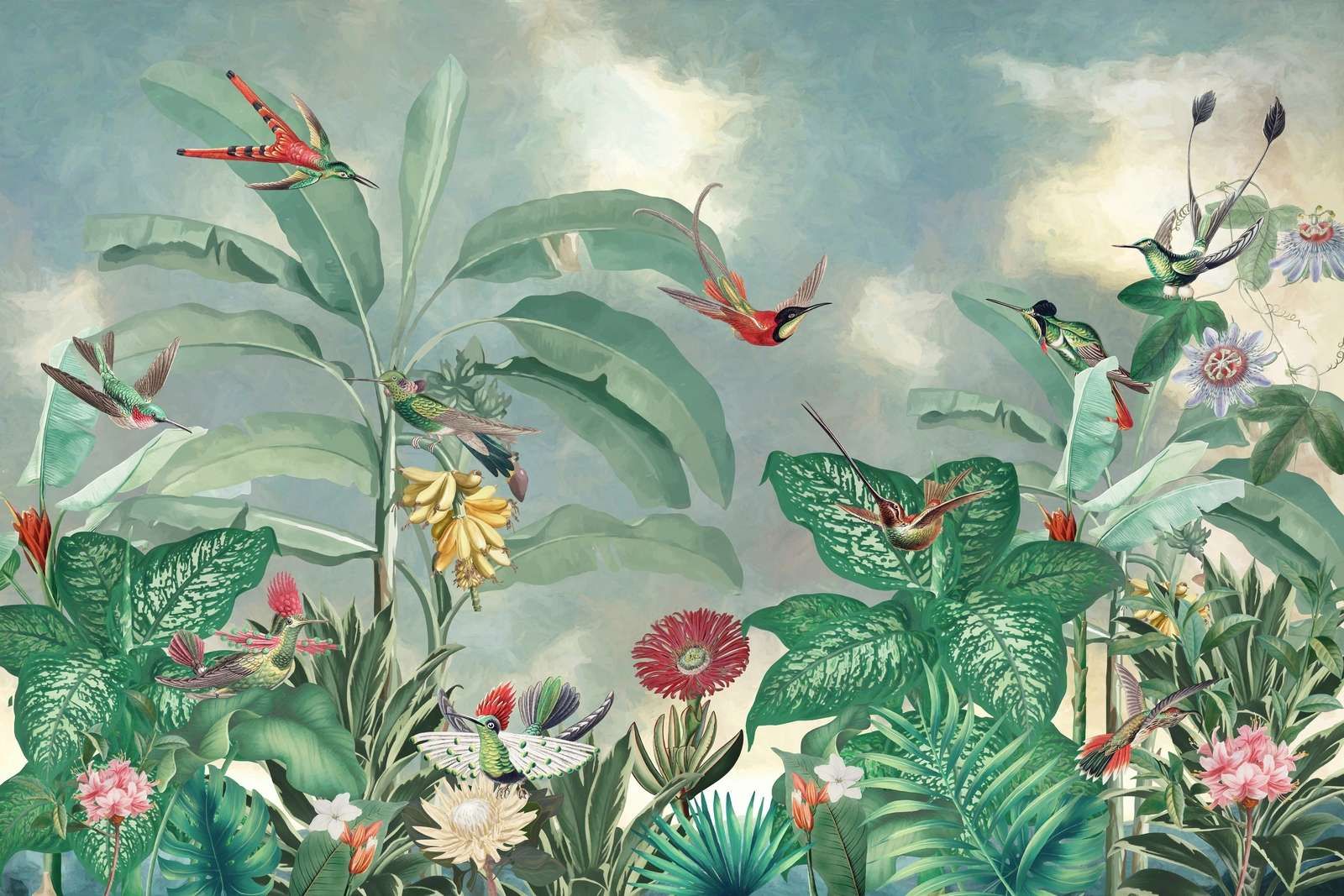 Paradiso dei Colibrì