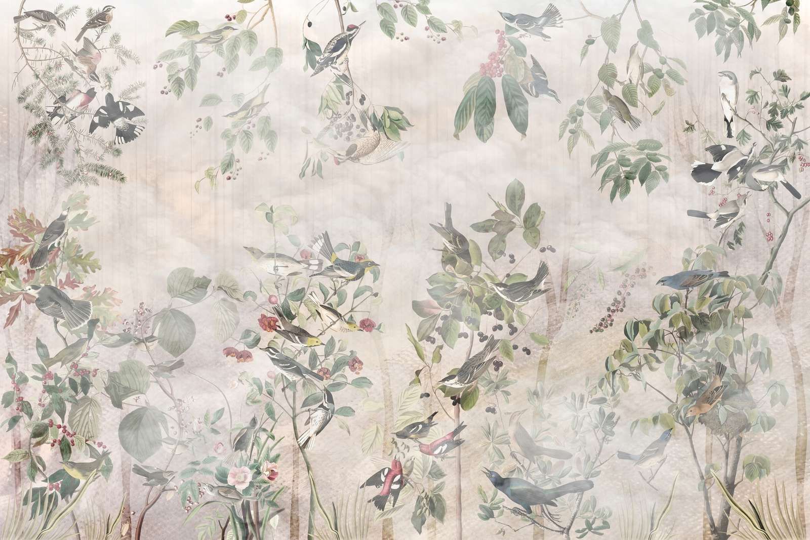 Uccelli della foresta in armonia