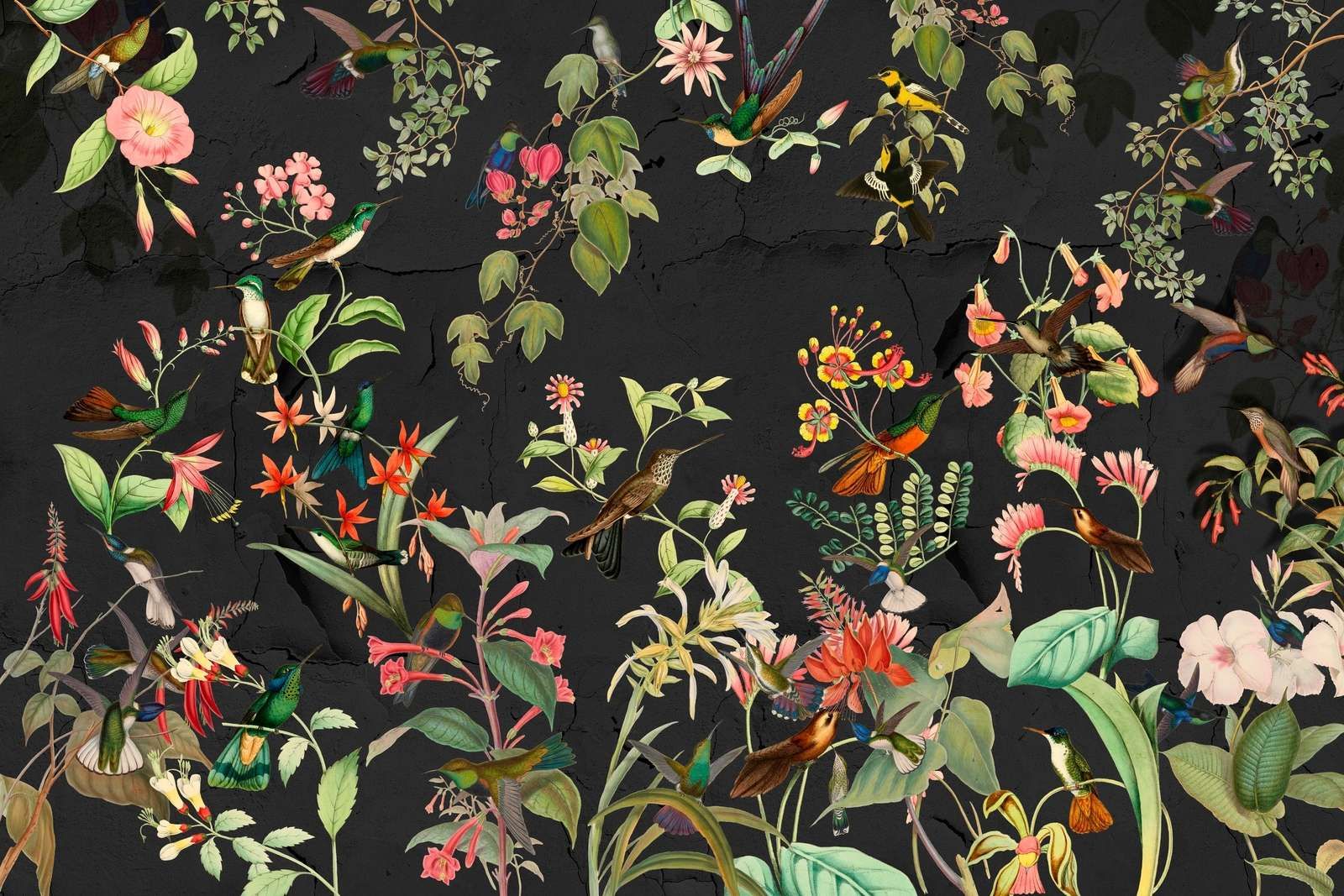 Giardino Esotico Nero