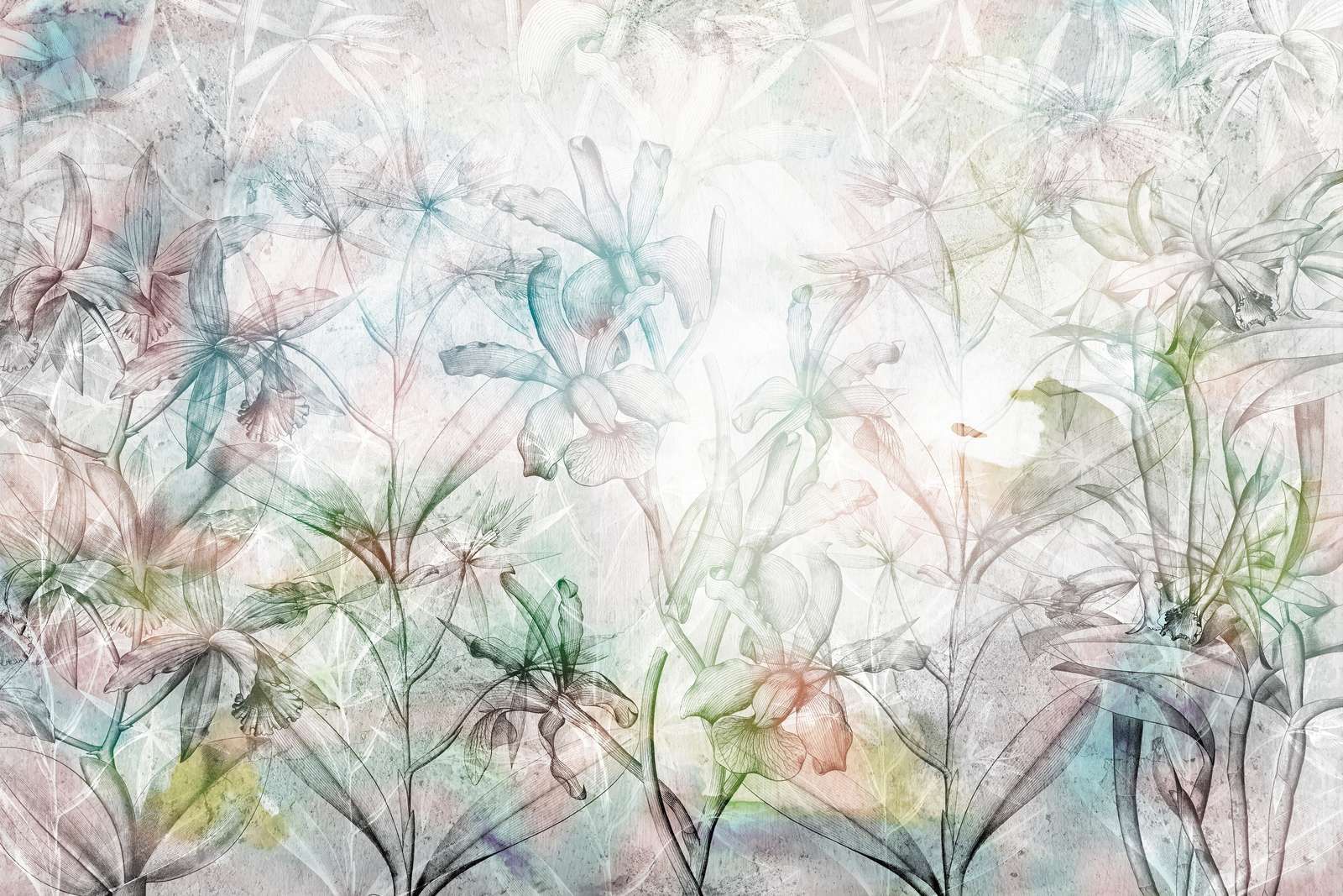 Sogno di Orchidea in Cemento