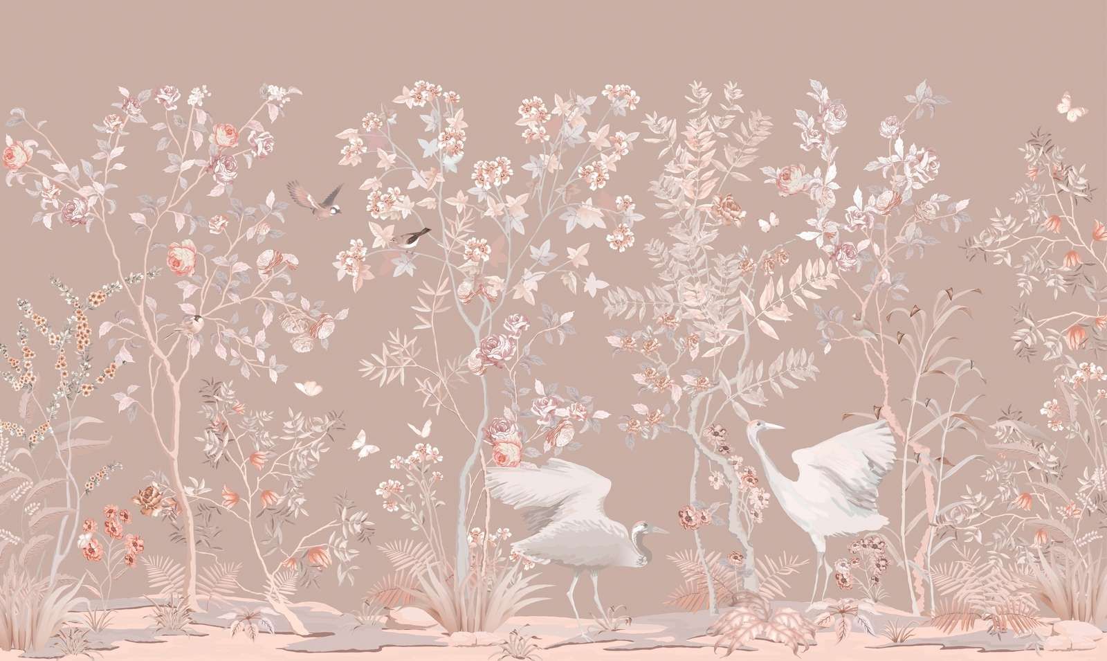 Corteo di Cigni Giardino