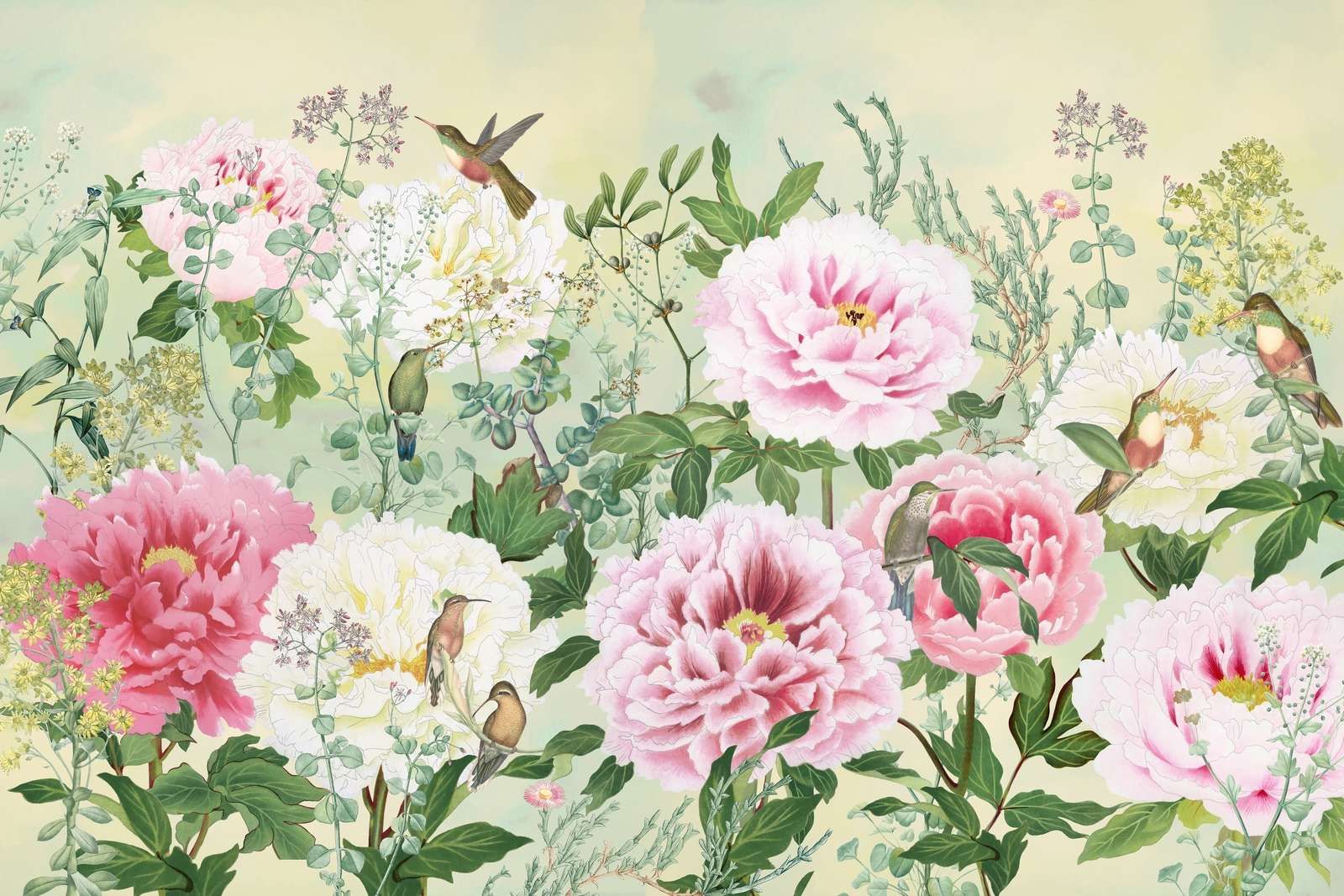 Paradiso delle Peonie