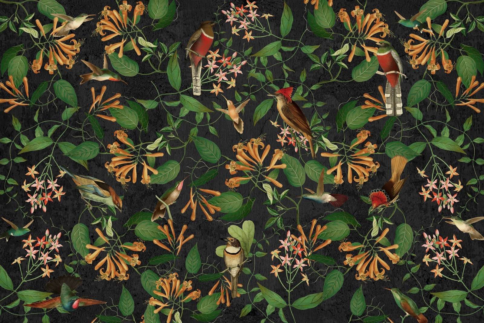 Melodia del Giardino di Mezzanotte