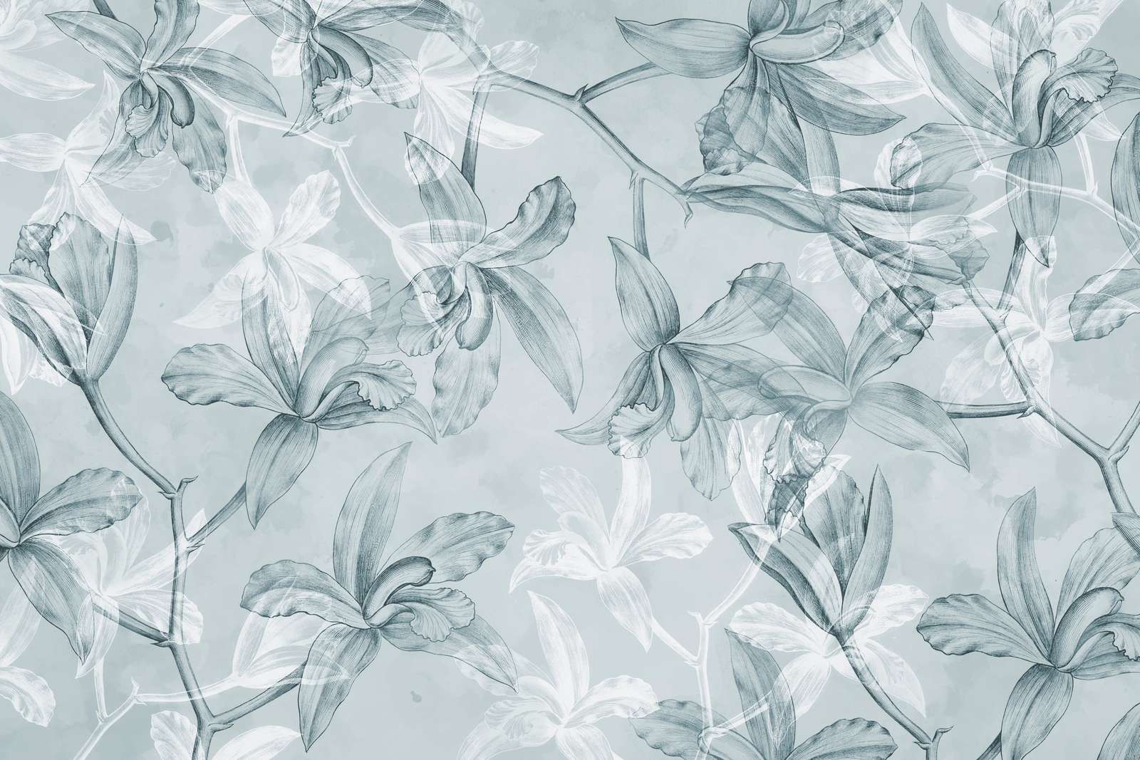 Sogno di Orchidea Verde