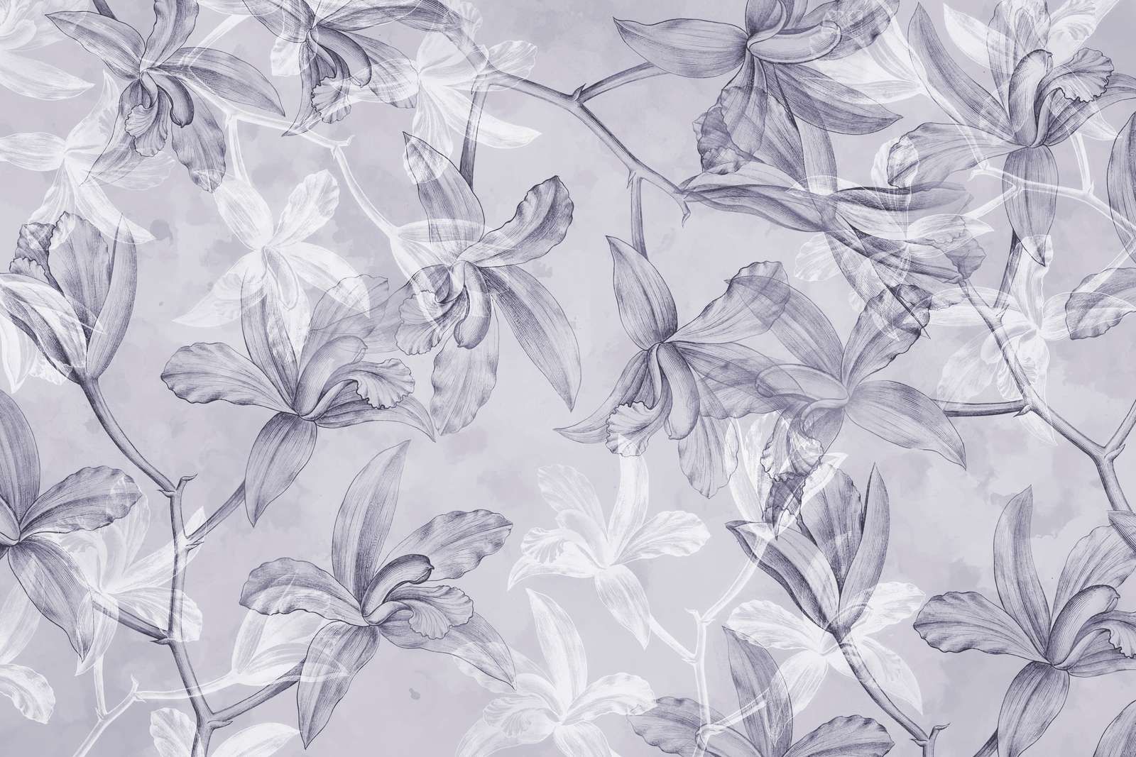 Sogno di Orchidea Viola