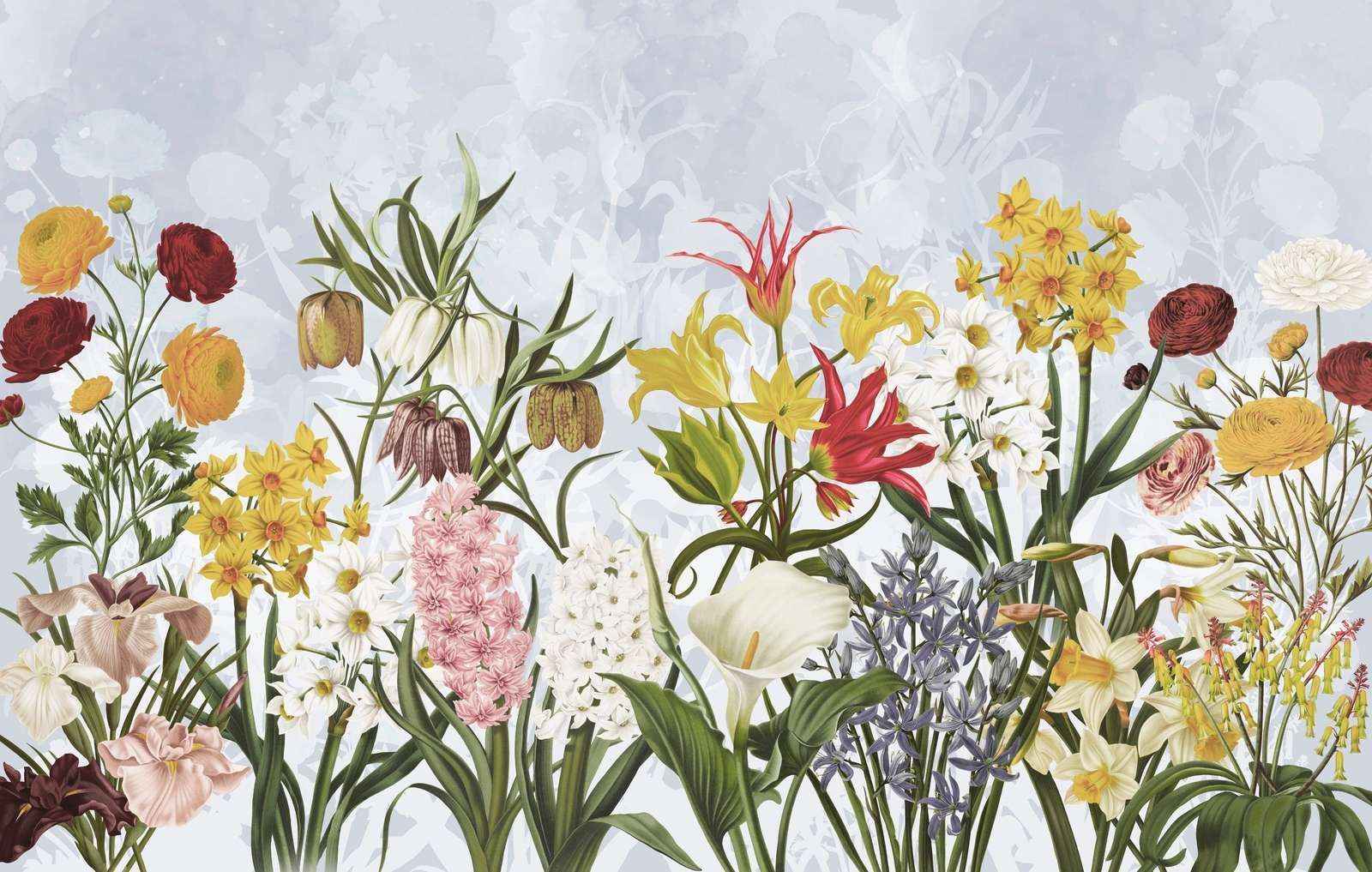 Fiori di Primavera - Cielo Nuvoloso Blu