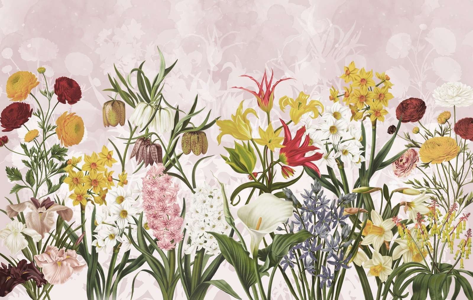 Fiori di Primavera - Rosa Petalo Blush