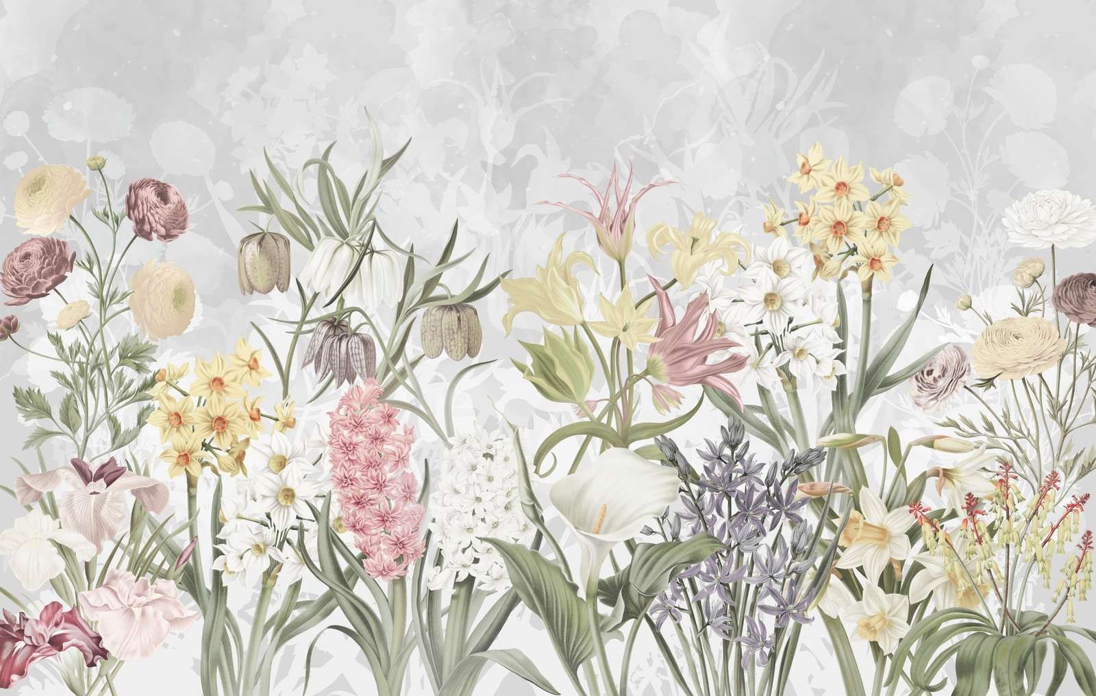 Fiori di Primavera - Lavanda Sottile