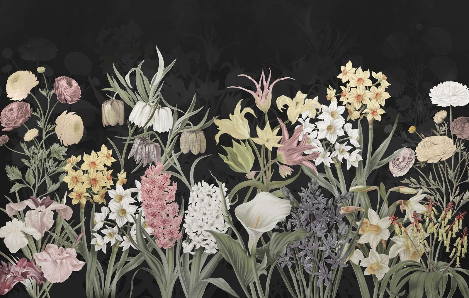 Fiori di Primavera - Fioritura di Mezzanotte