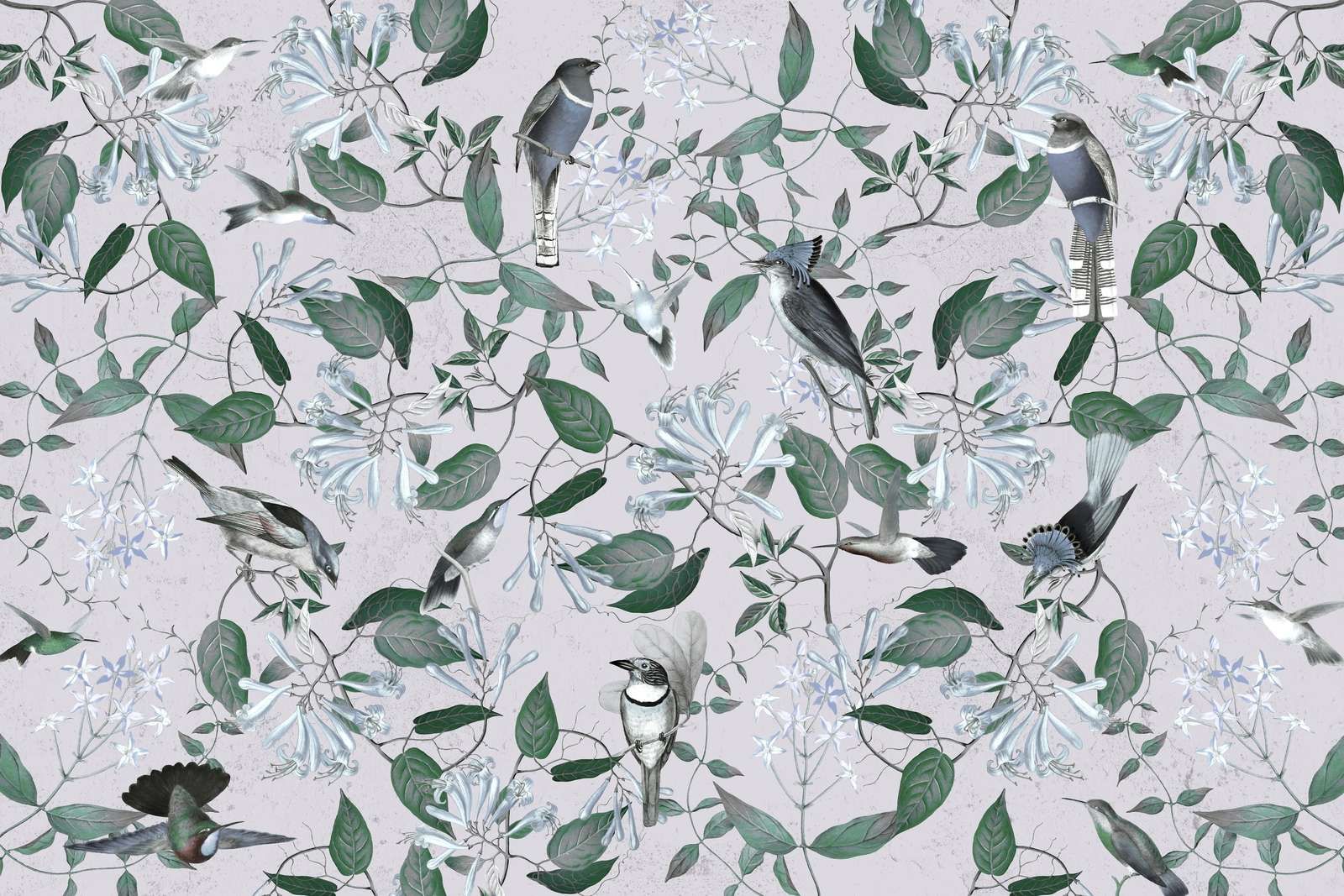 Tescoma Bird Paradise - Nebbia di Lavanda