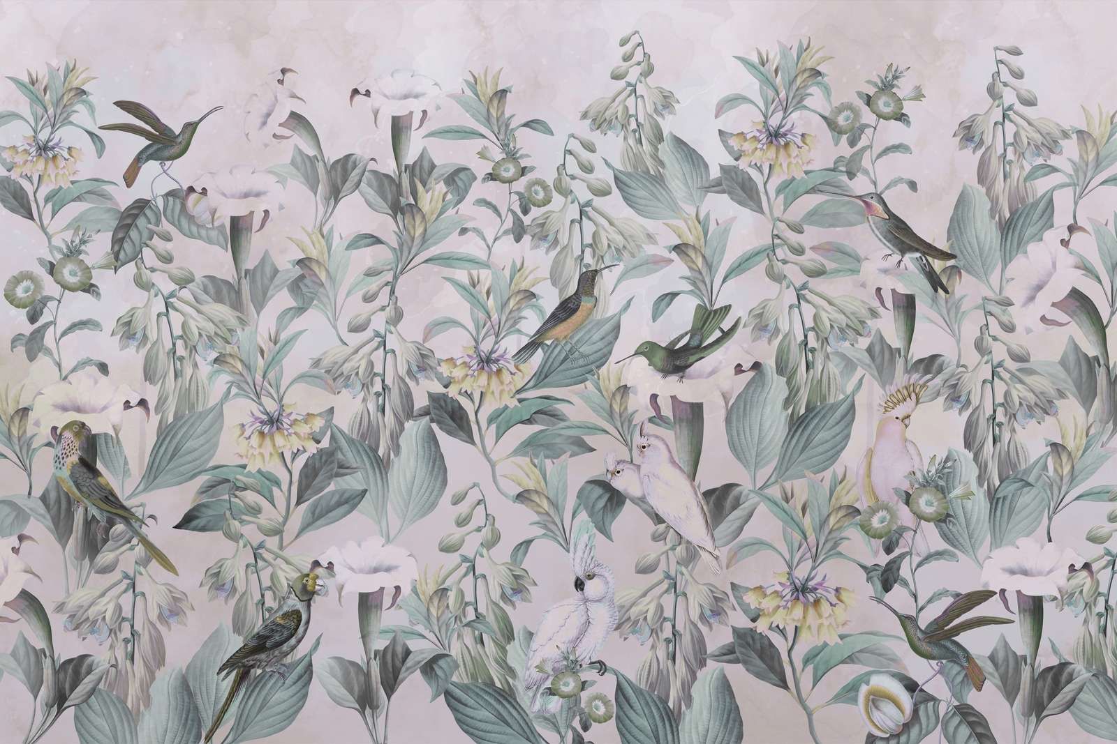 Canto degli uccelli eterei - Eleganza attenuata