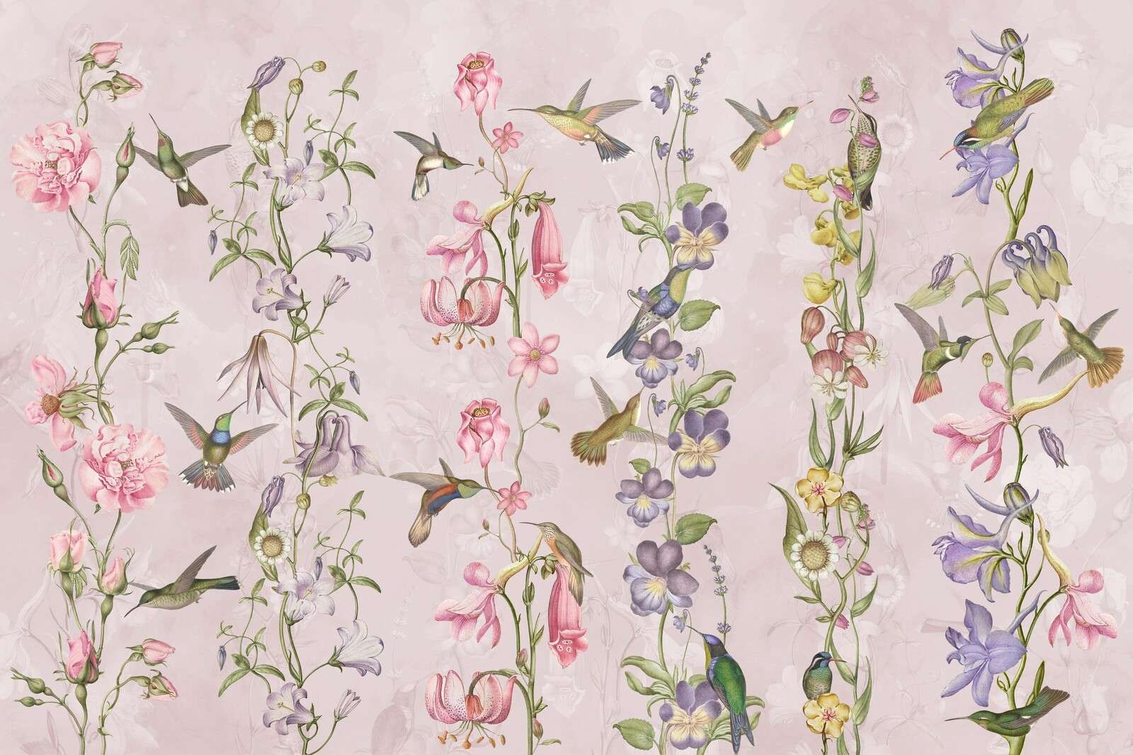 Fiori di prato e giardino rosa