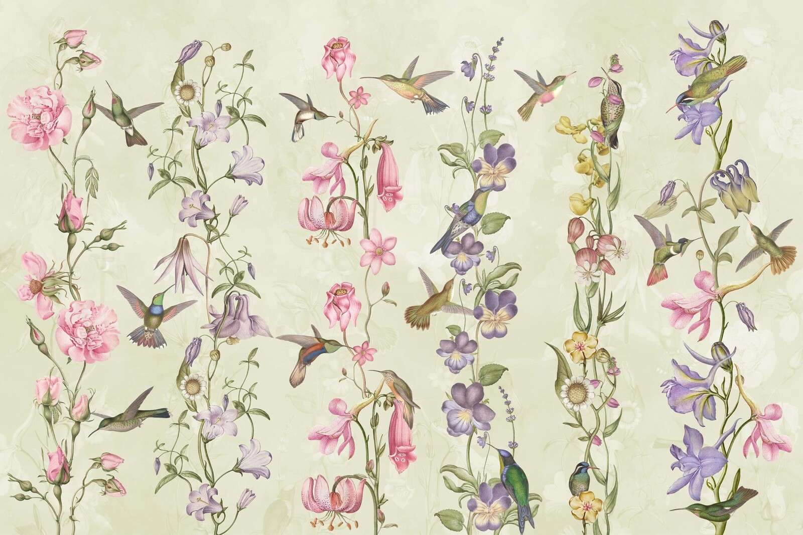 Fiori di prato e giardino gialli