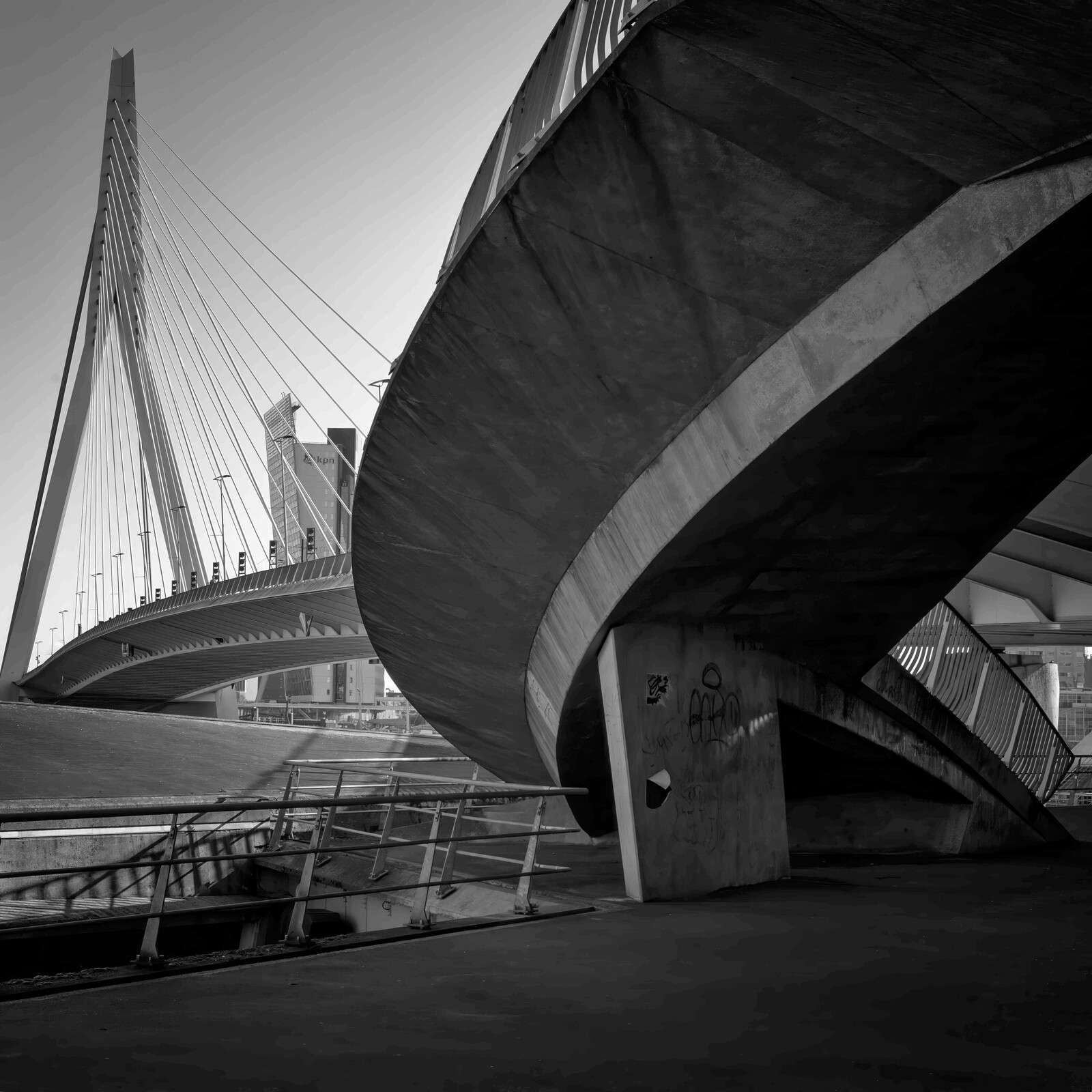Erasmusbrug e Architettura Urbana