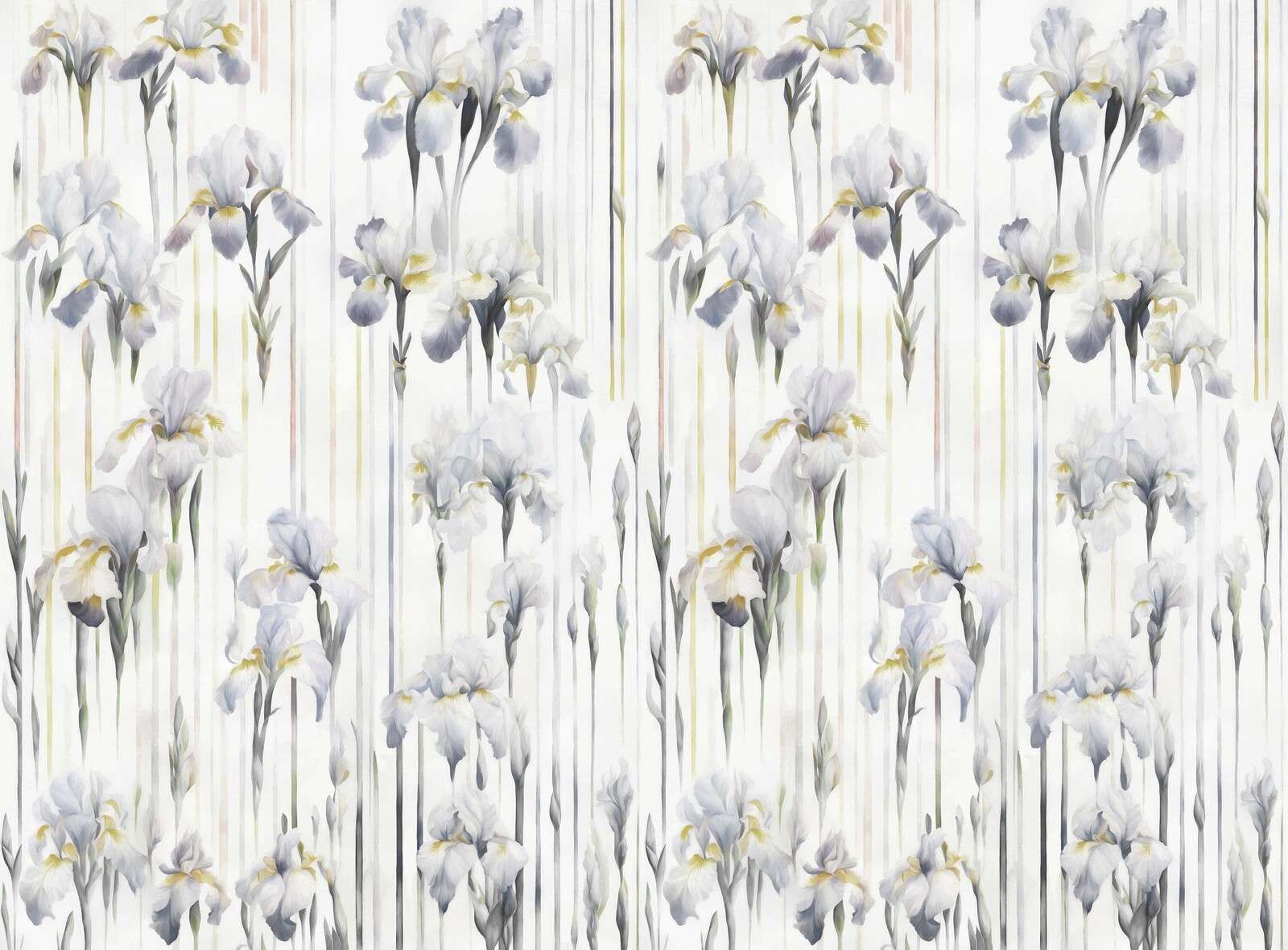 Iris e Strisce Grigio Senza Soluzione di Continuità