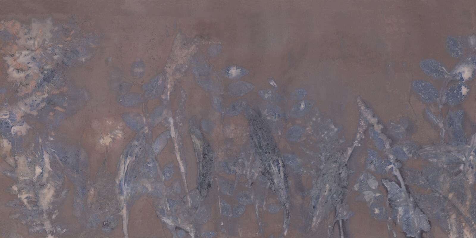 Schapenzuring e salice arbustivo - melanzana