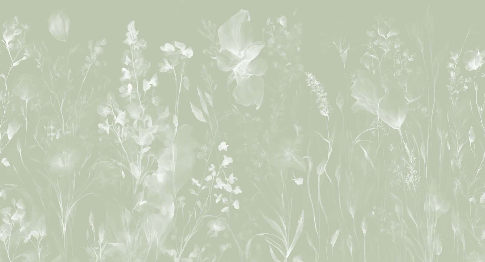 La morbidezza del cuore - oliva