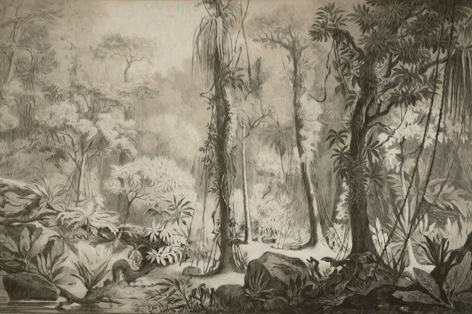 Foresta tropicale - marrone