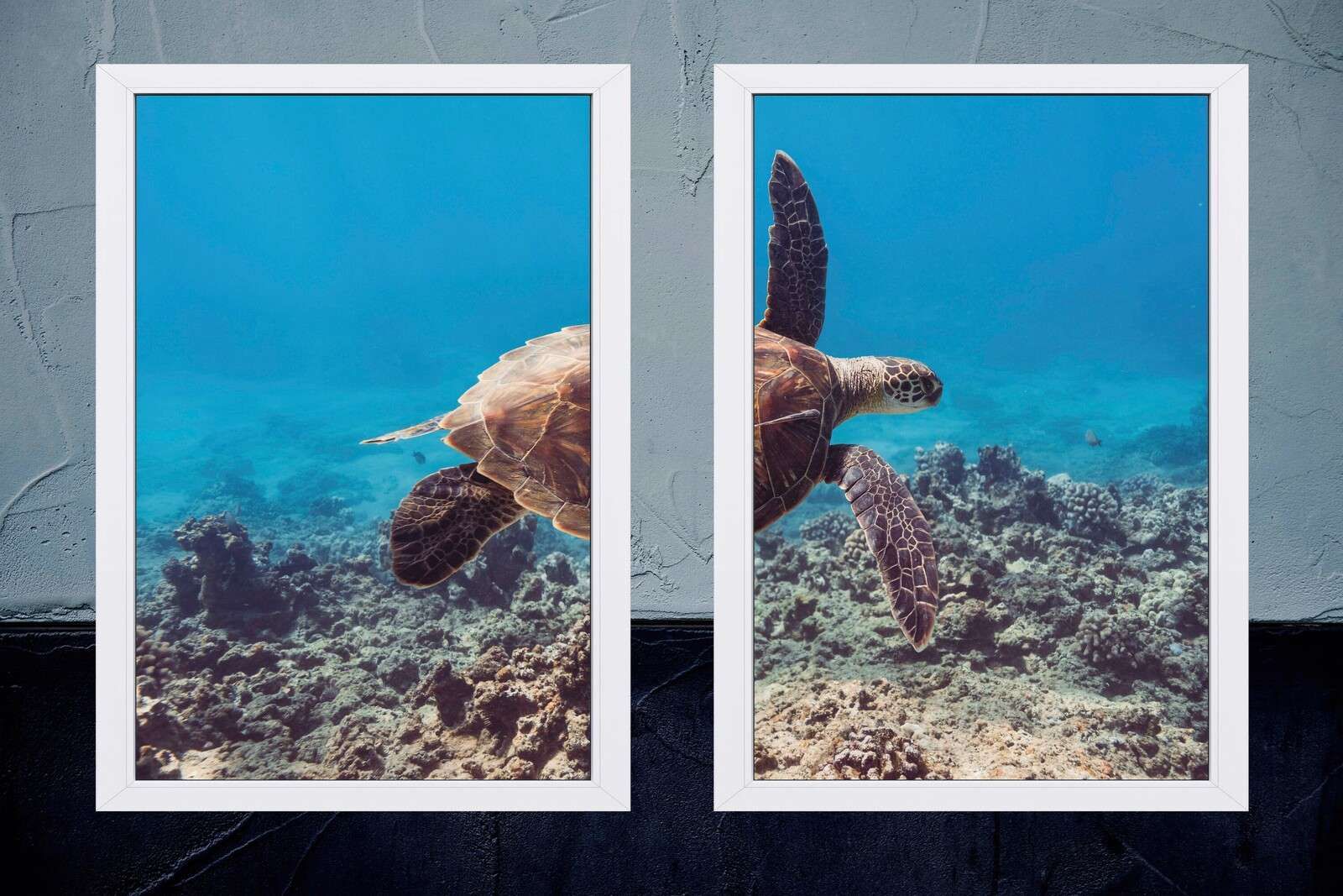 Tartaruga zeeschildpad sopra la barriera corallina